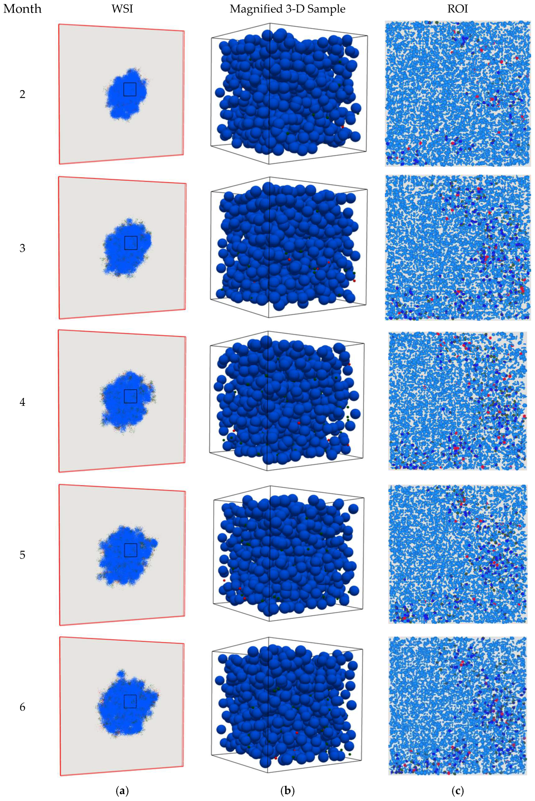 Cancers 15 02750 g004