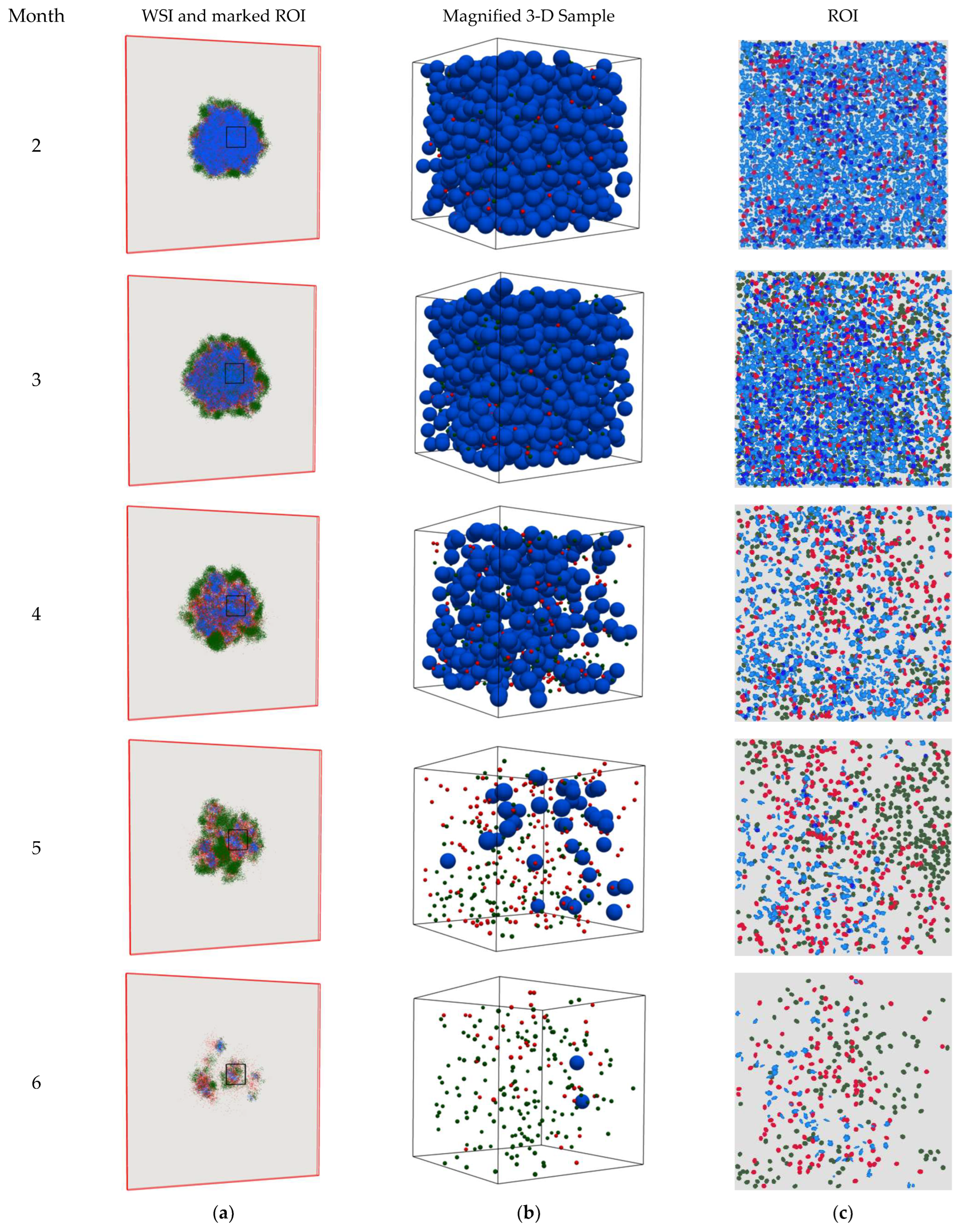 Cancers 15 02750 g009