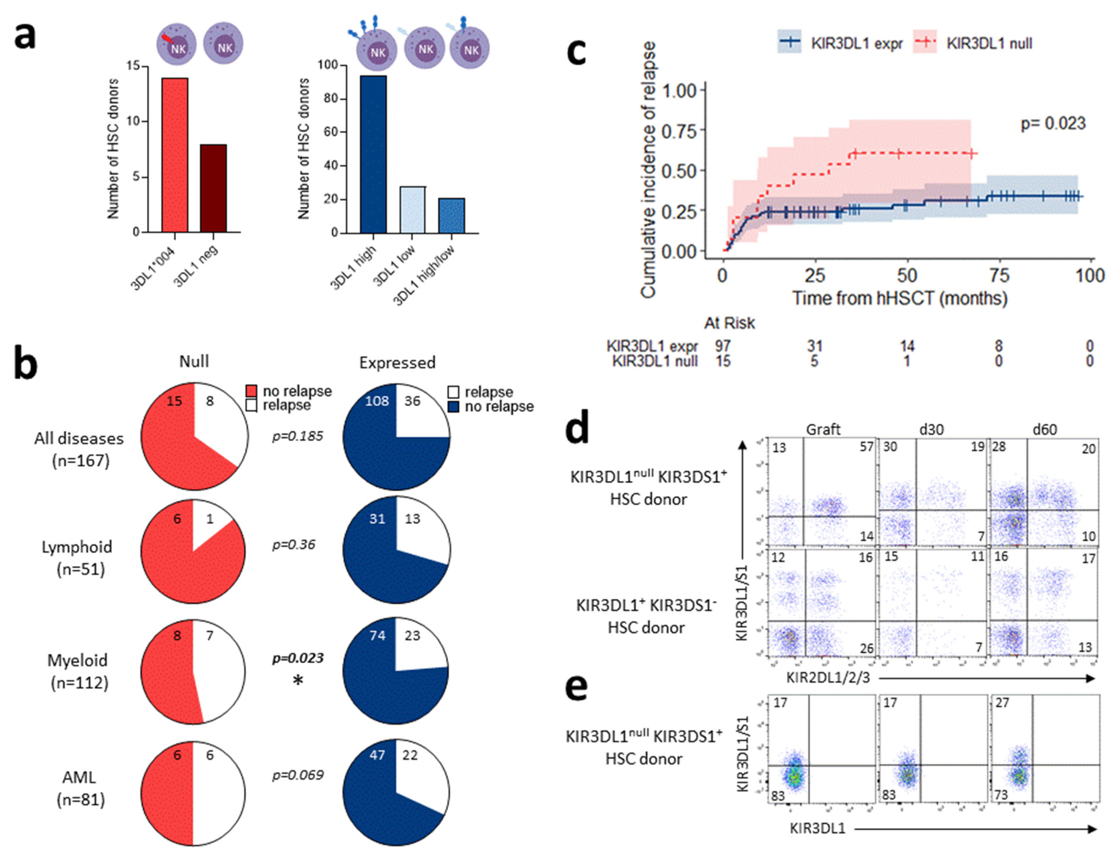 Cancers 15 02754 g004