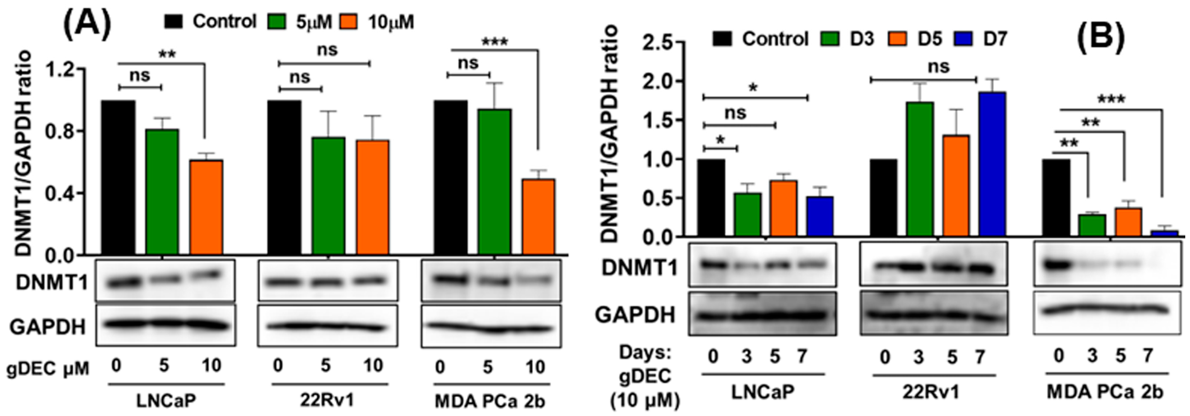 Cancers 15 02763 g001 Cancers 15 02763 g001