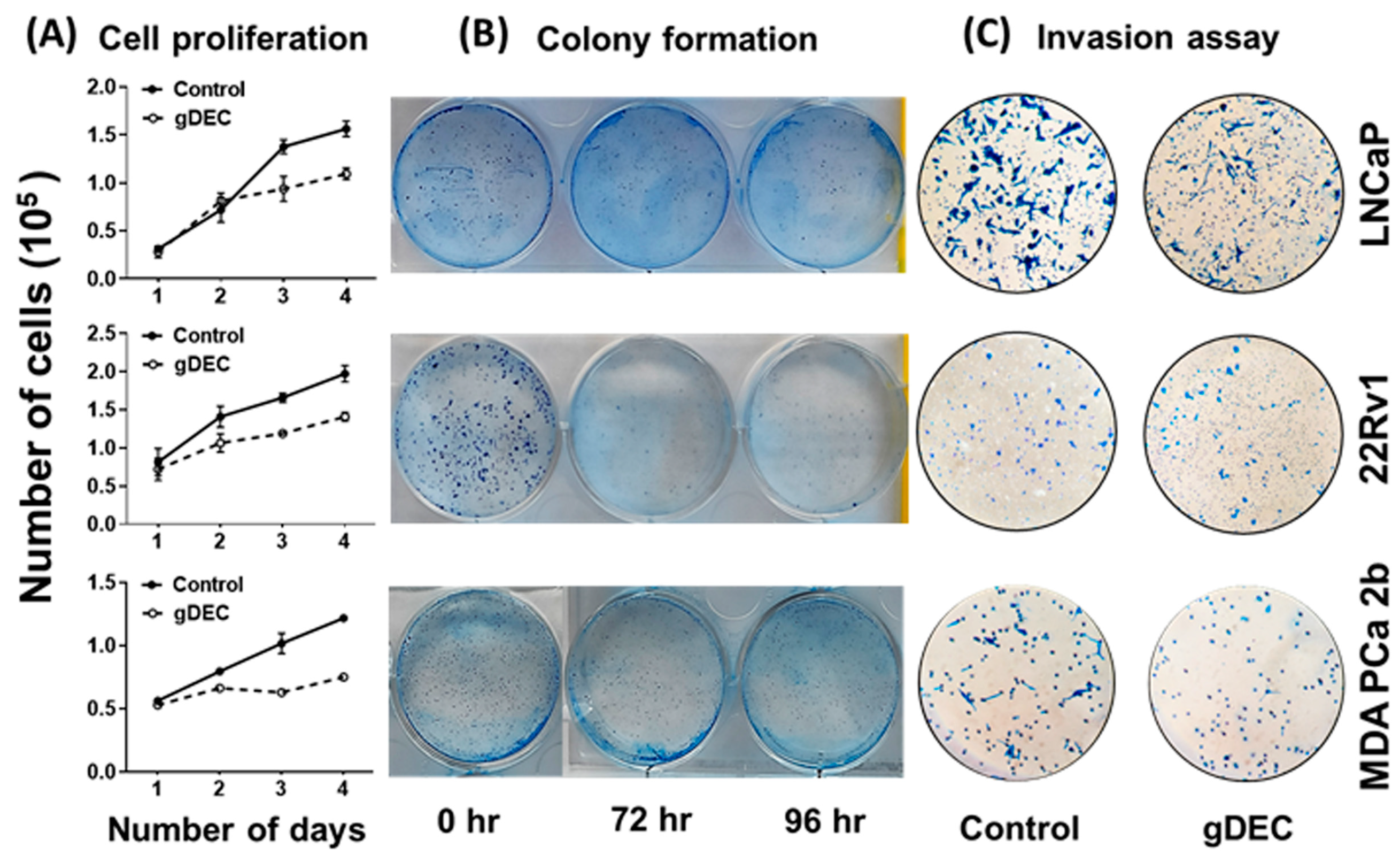 Cancers 15 02763 g002 Cancers 15 02763 g002