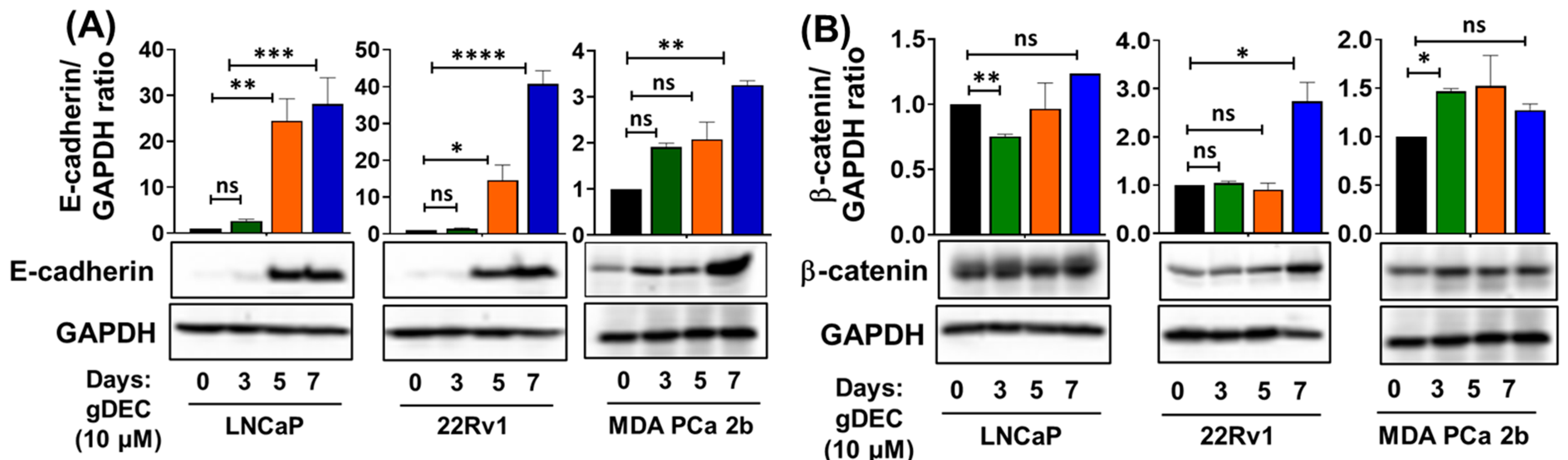 Cancers 15 02763 g004 Cancers 15 02763 g004