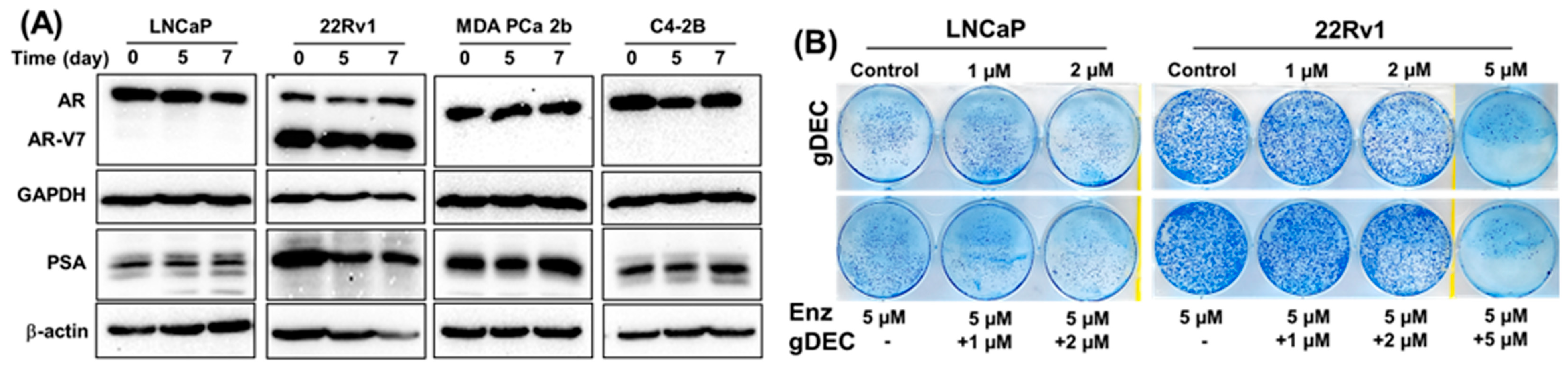 Cancers 15 02763 g006 Cancers 15 02763 g006