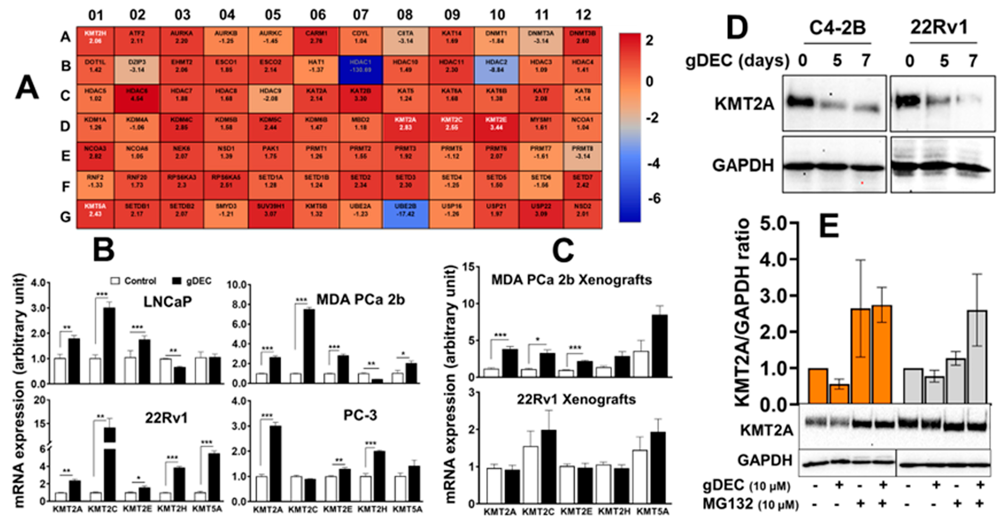 Cancers 15 02763 g007 Cancers 15 02763 g007