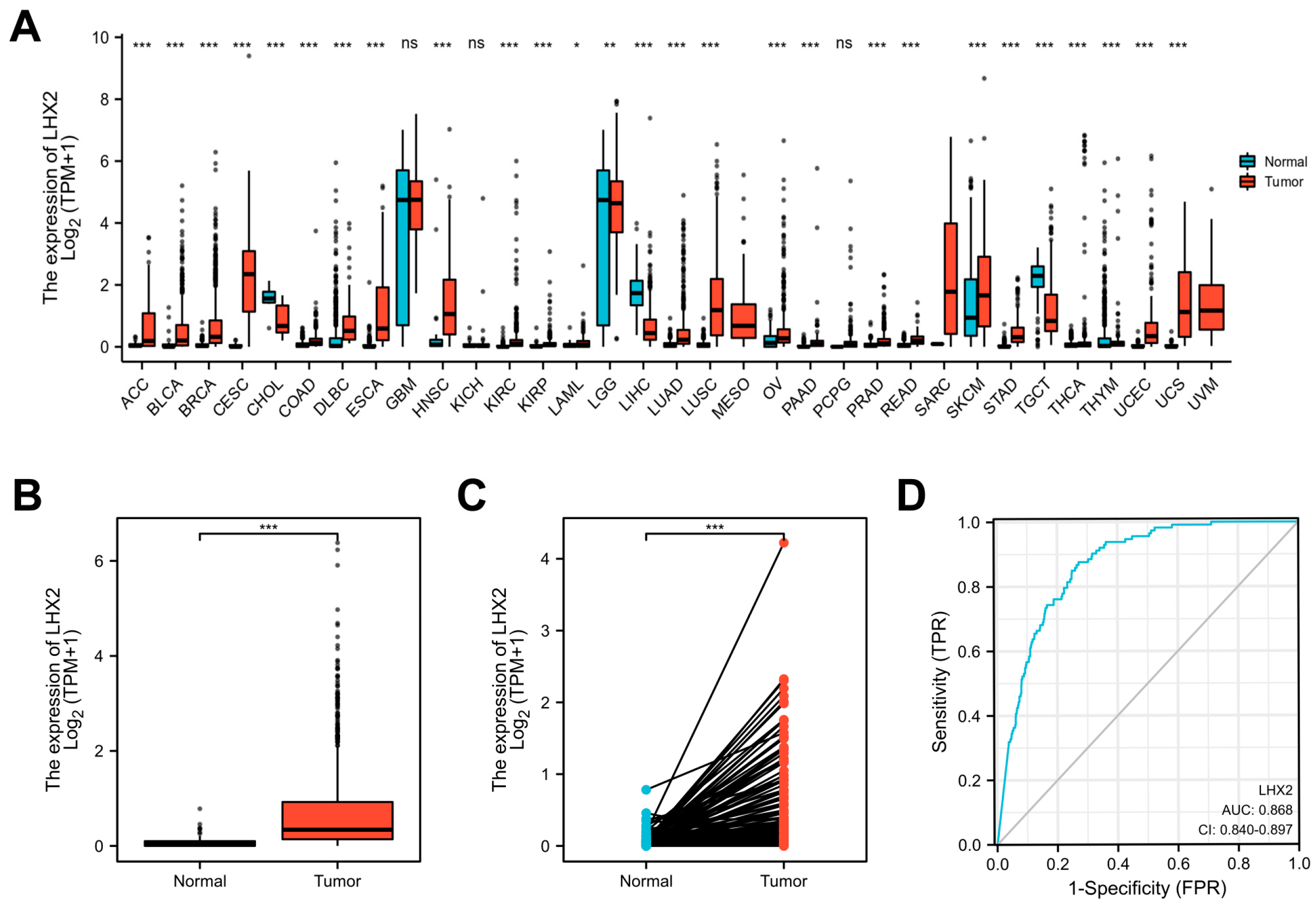 Cancers 15 02773 g001