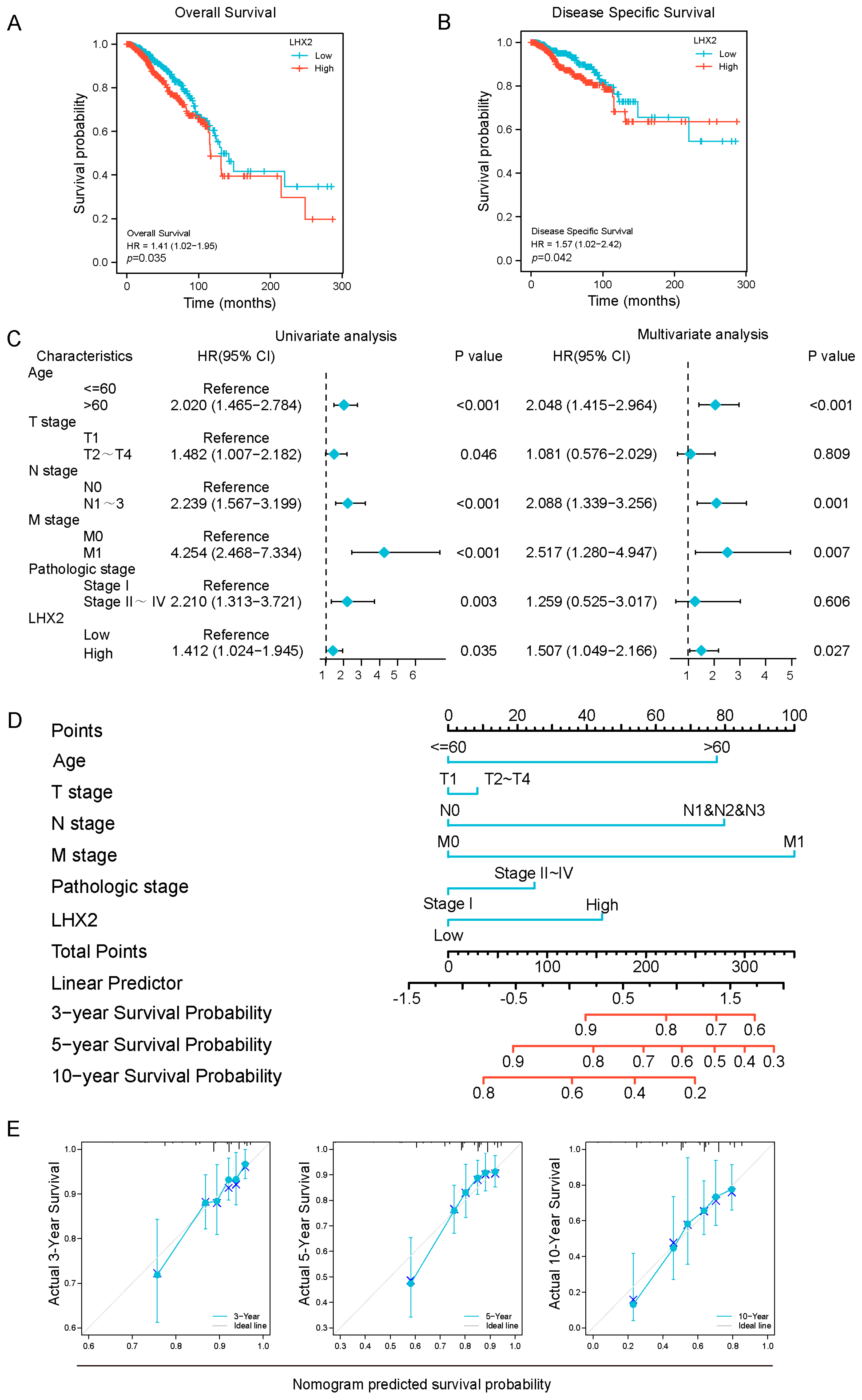 Cancers 15 02773 g002