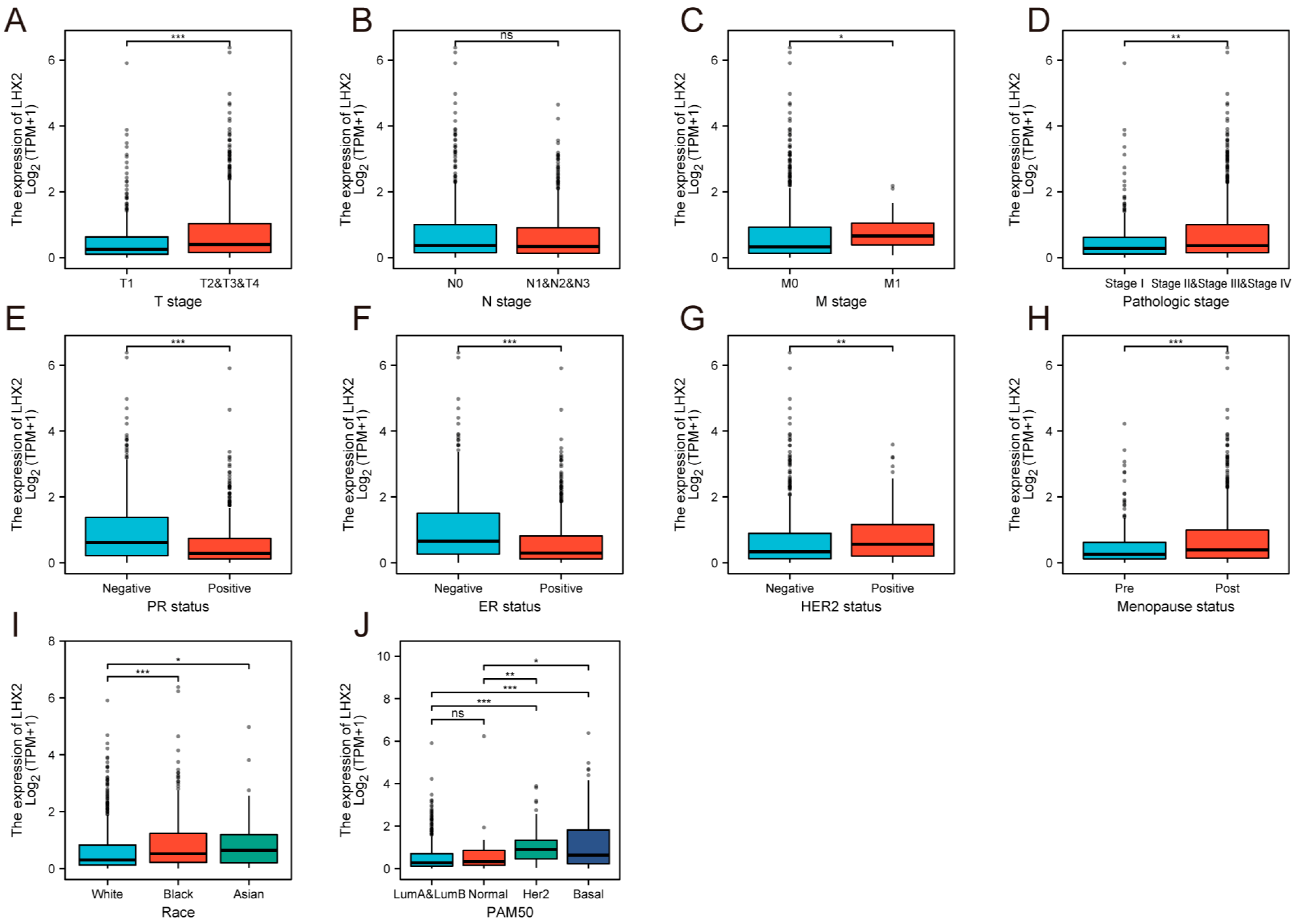 Cancers 15 02773 g003