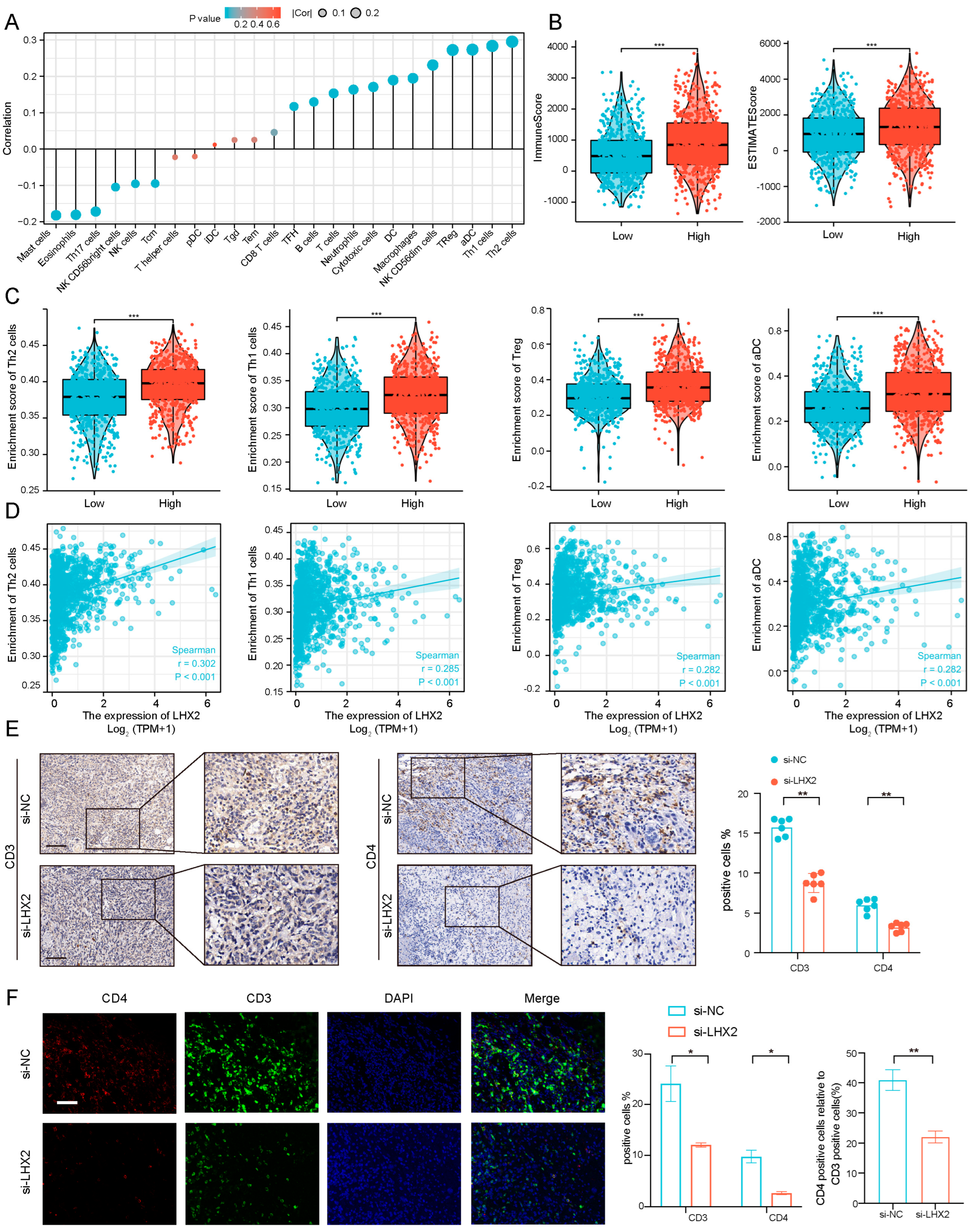 Cancers 15 02773 g005