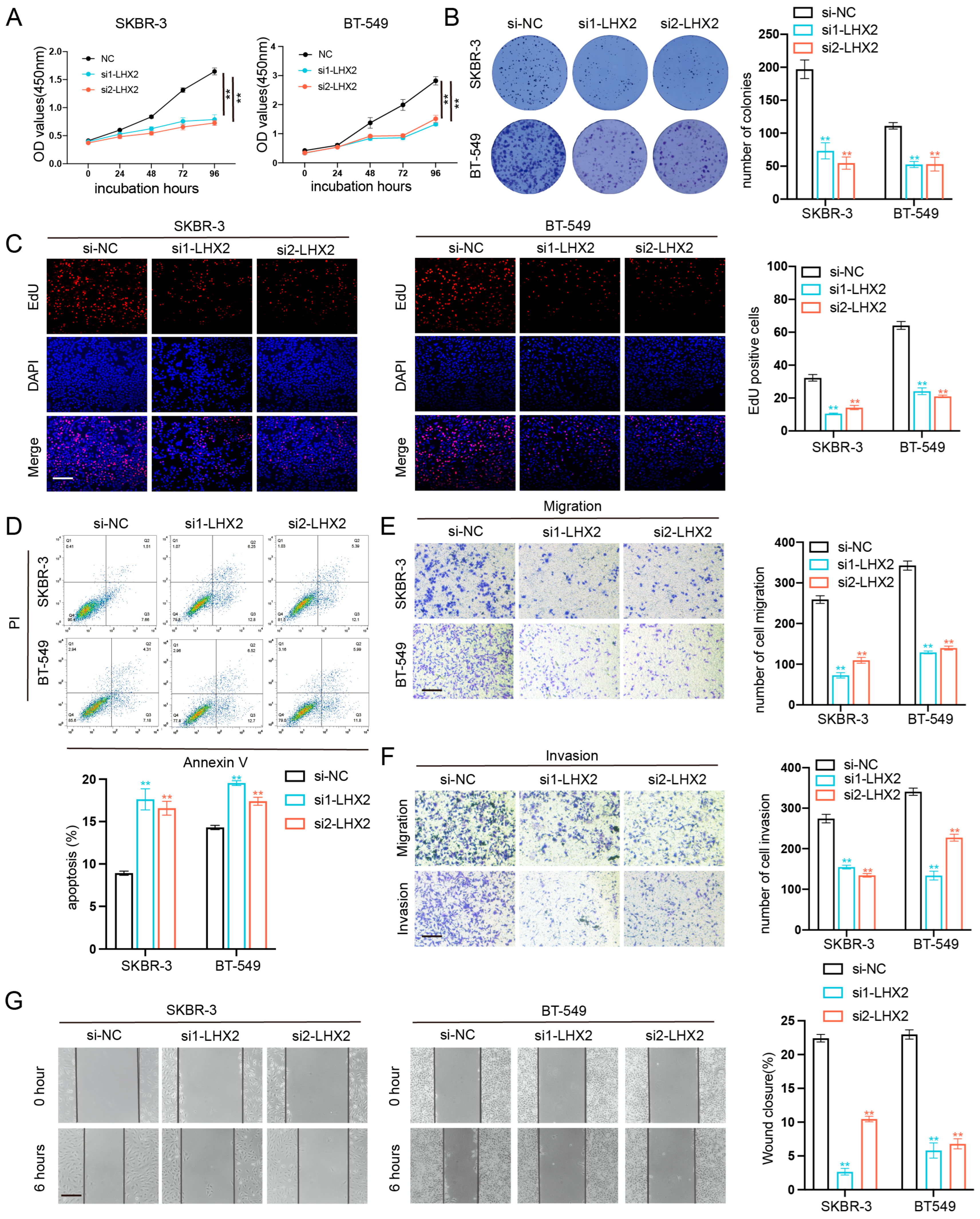 Cancers 15 02773 g006