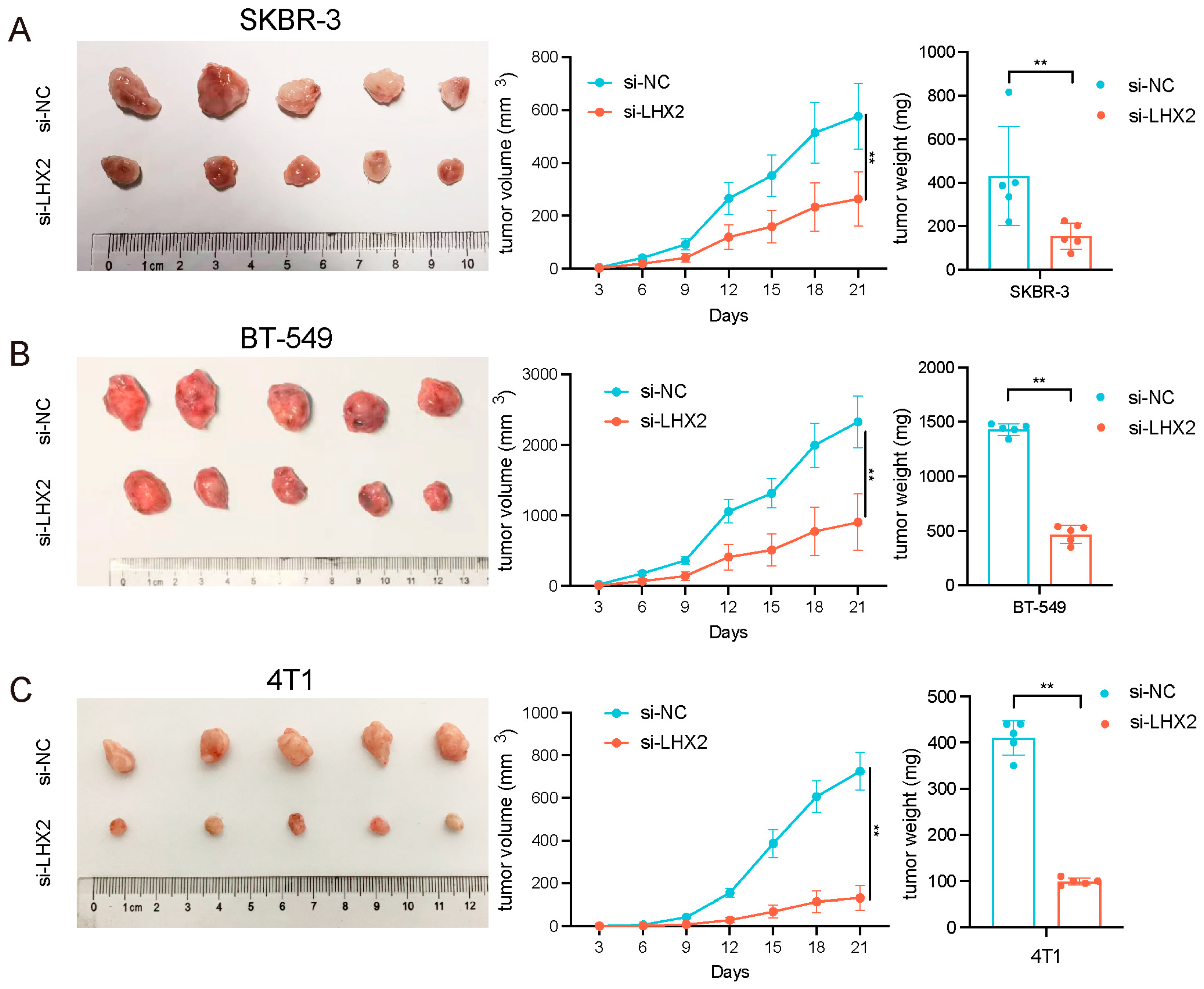 Cancers 15 02773 g008