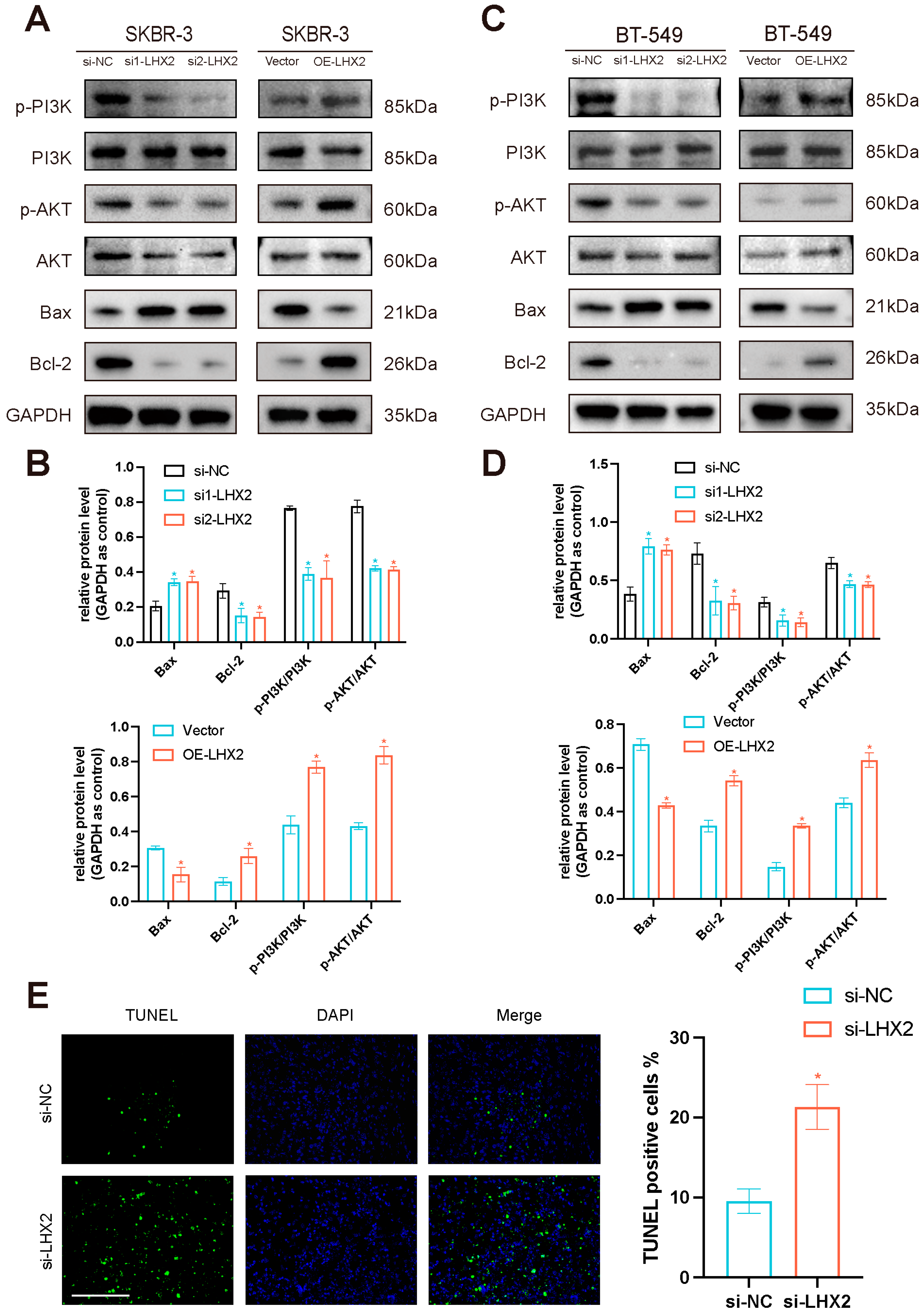Cancers 15 02773 g009