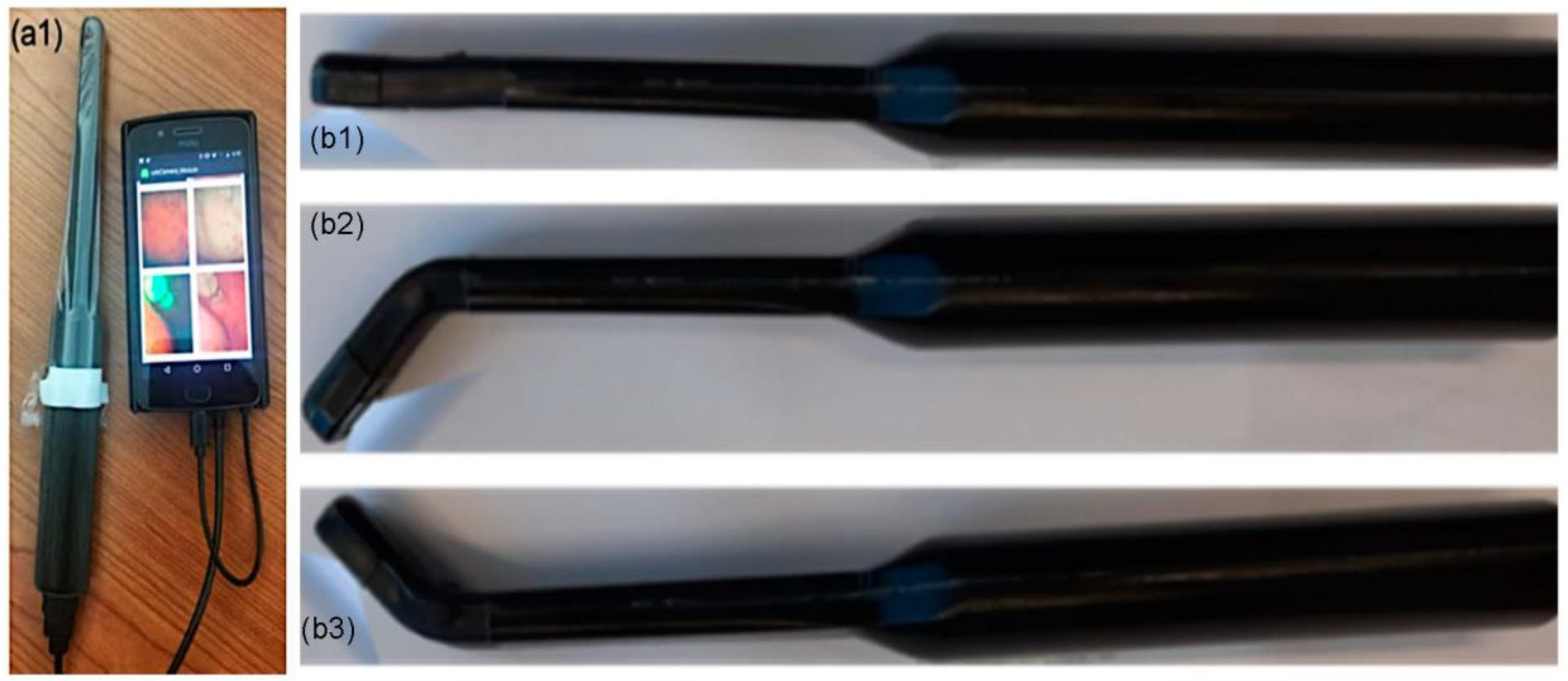 Cancers 15 02775 g001