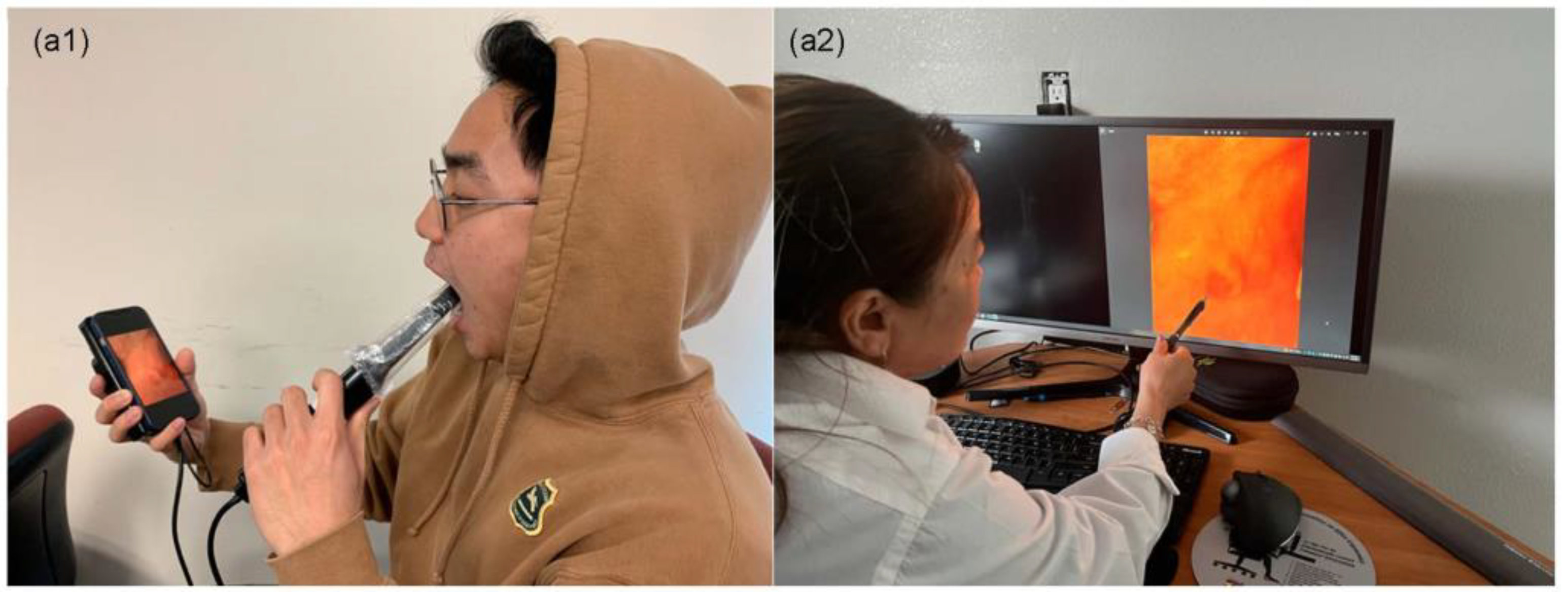 Cancers 15 02775 g002