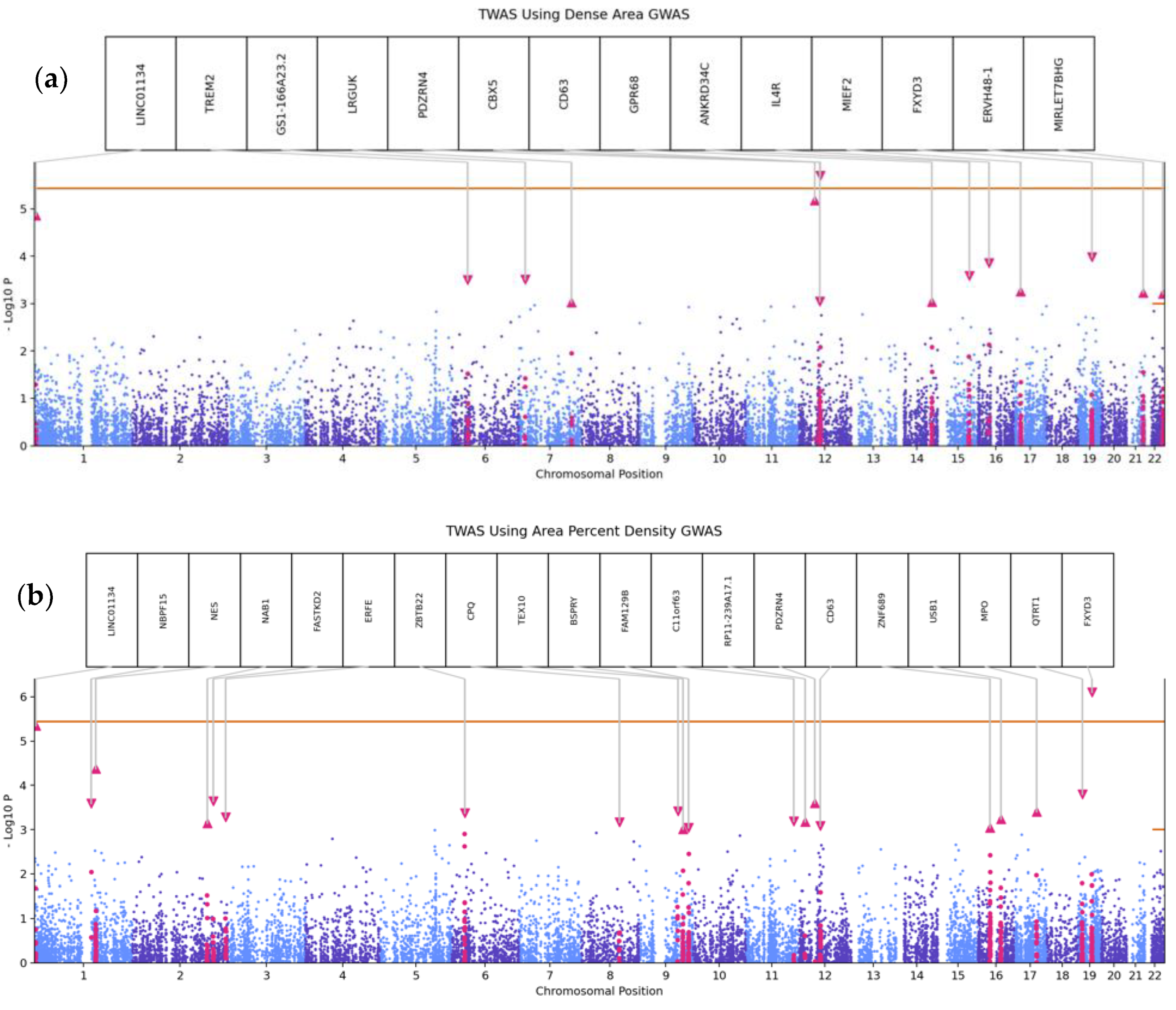 Cancers 15 02776 g003