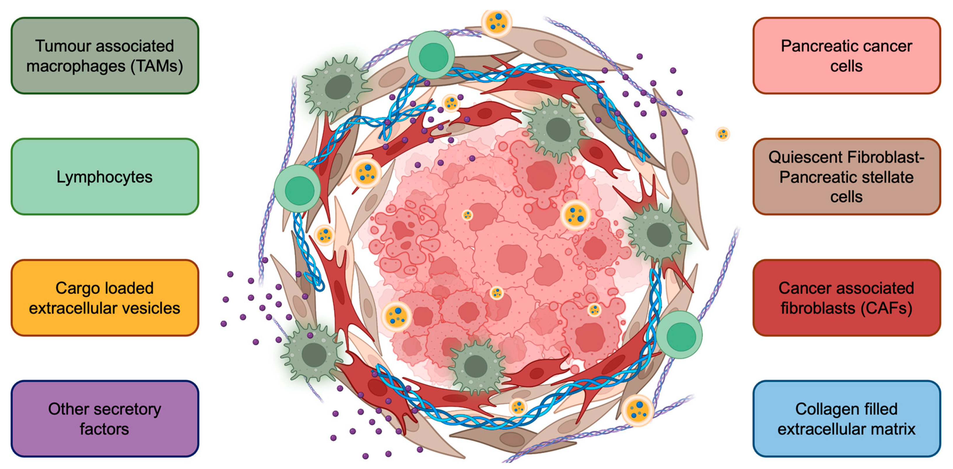 Cancers 15 02779 g002 Cancers 15 02779 g002