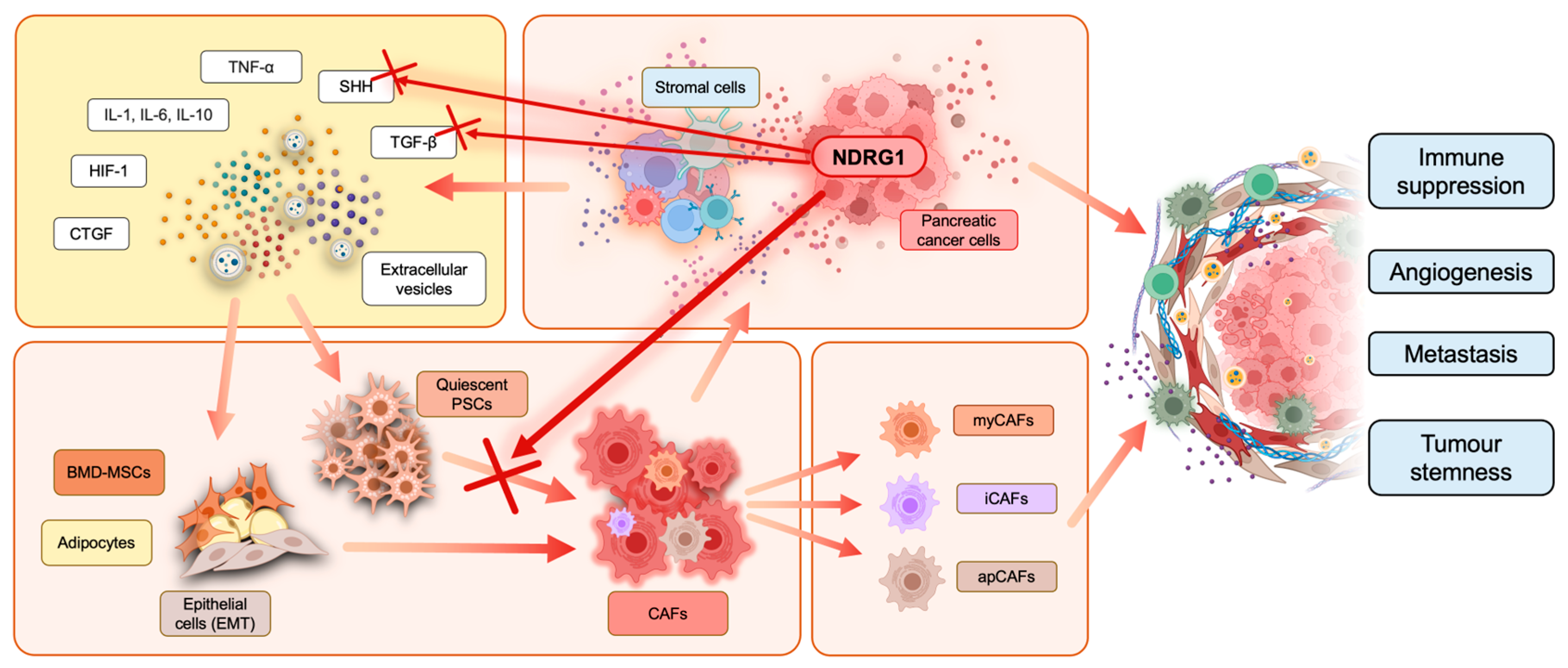 Cancers 15 02779 g003 Cancers 15 02779 g003
