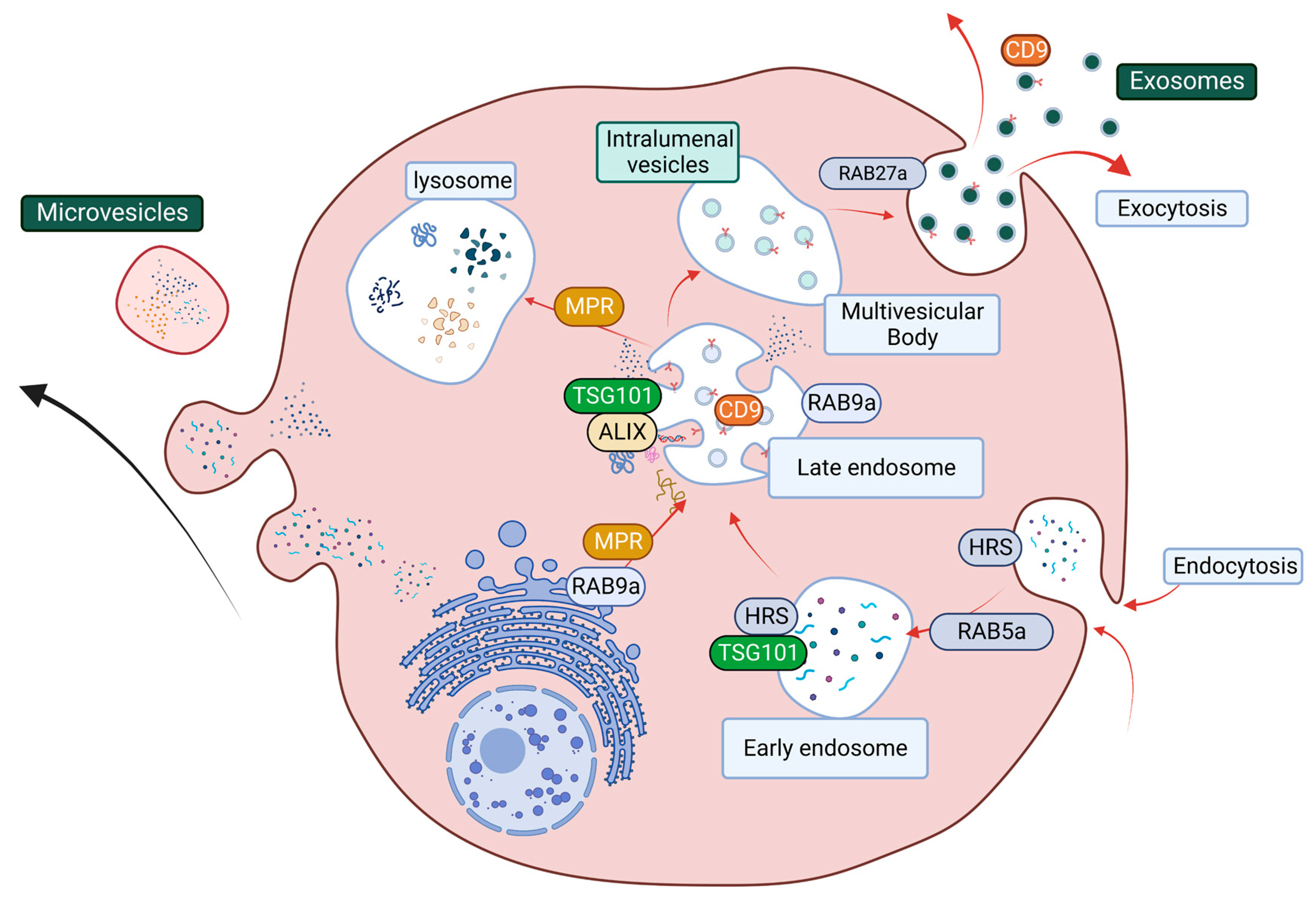 Cancers 15 02779 g005 Cancers 15 02779 g005