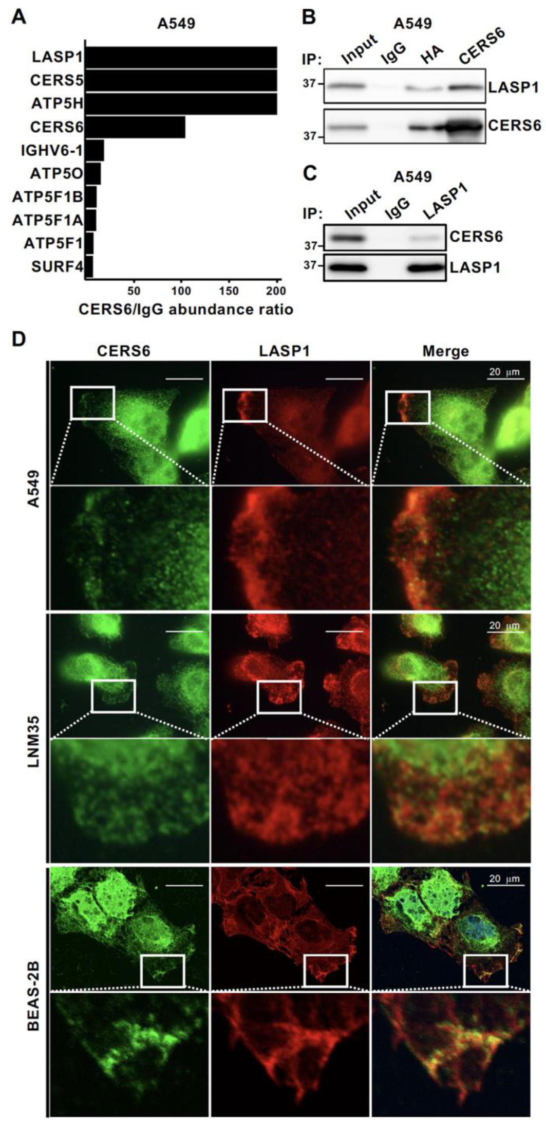 Cancers 15 02781 g001