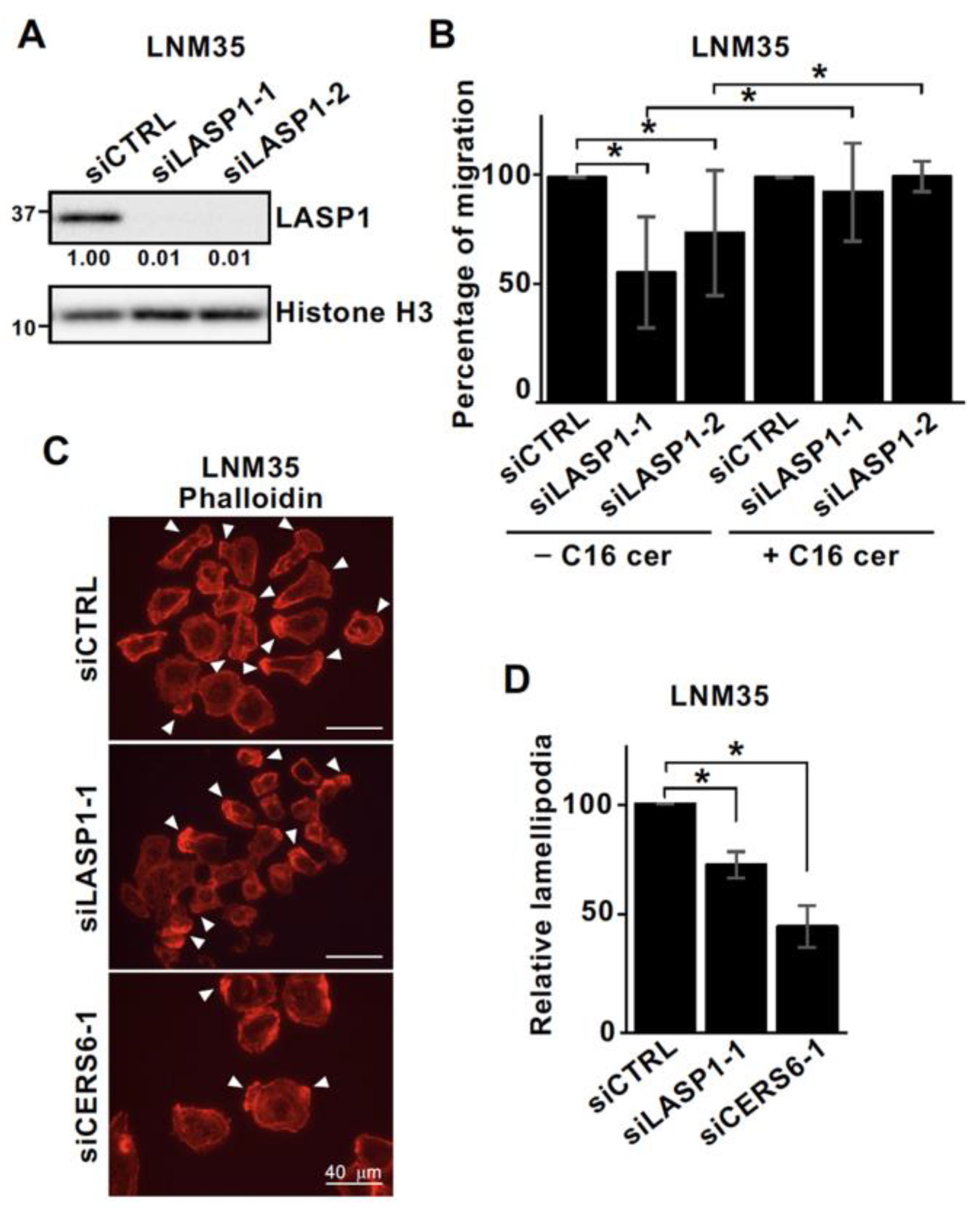 Cancers 15 02781 g003