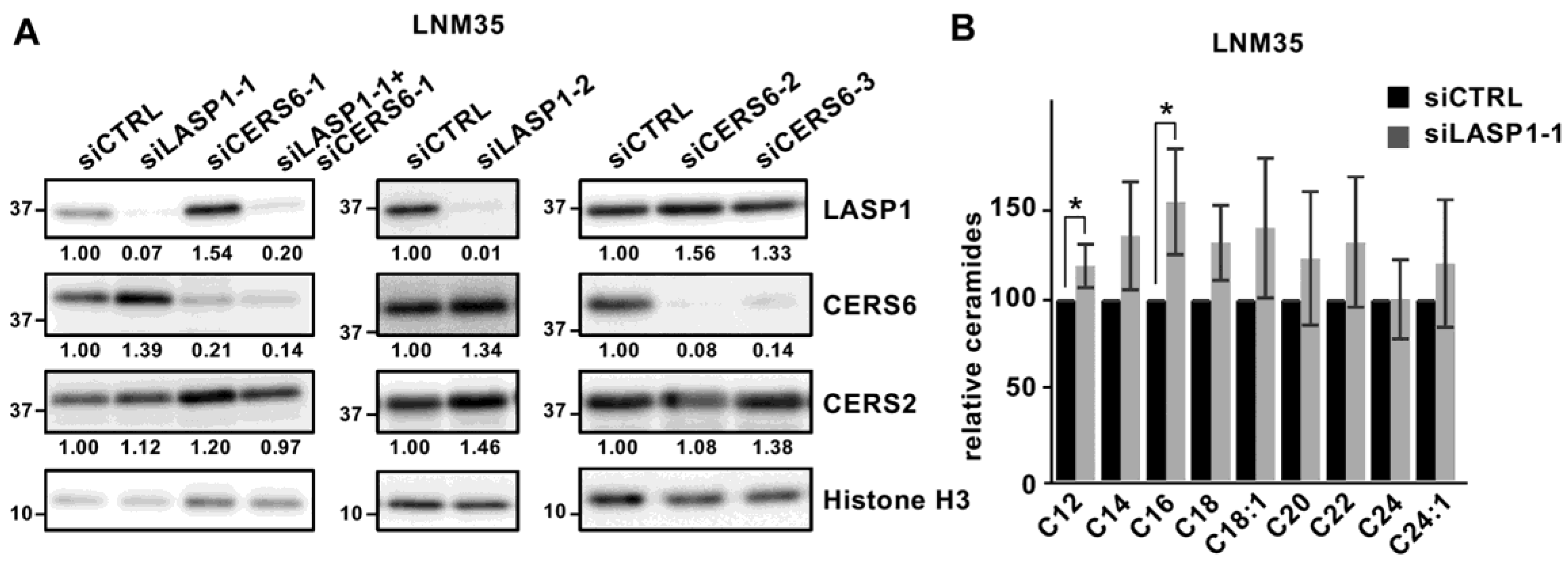 Cancers 15 02781 g004