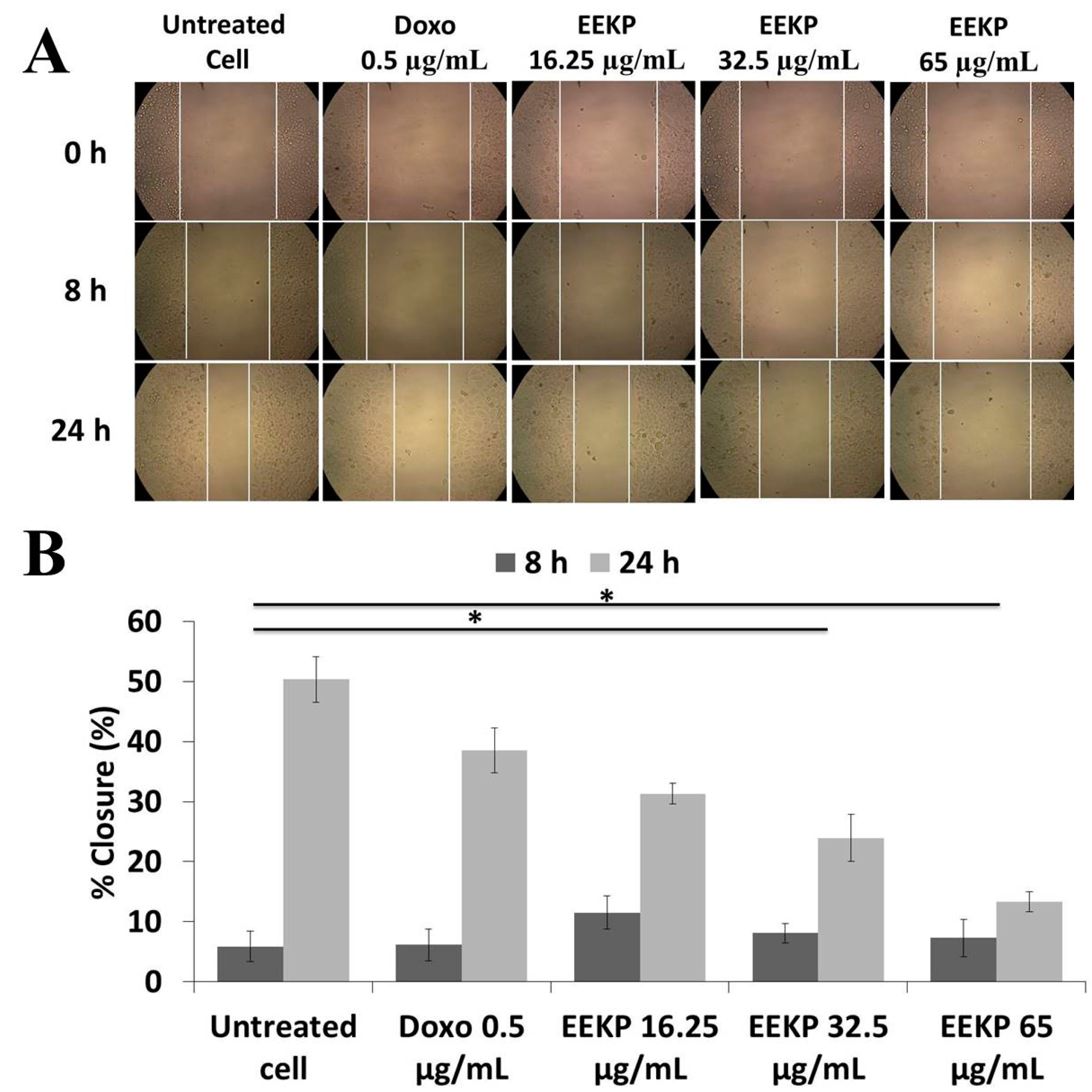 Cancers 15 02785 g003 Cancers 15 02785 g003