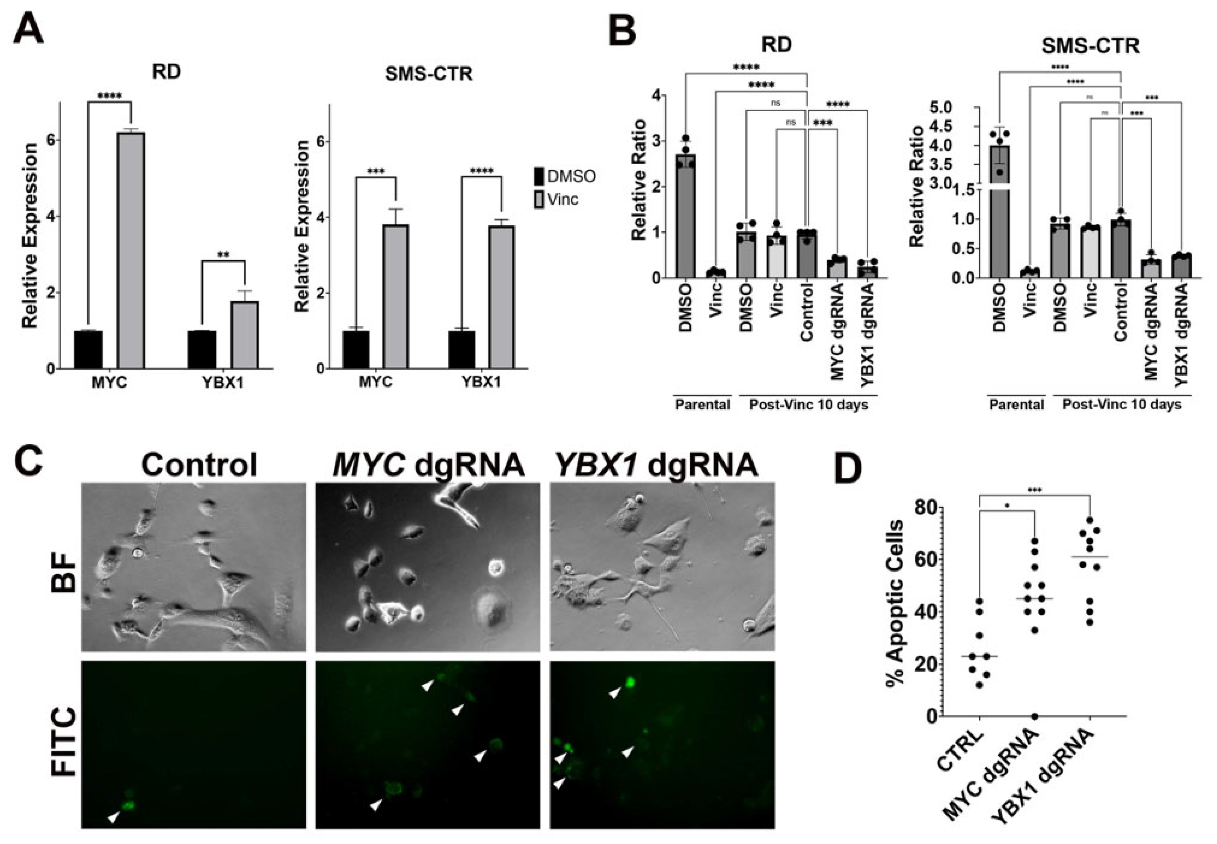 Cancers 15 02788 g004