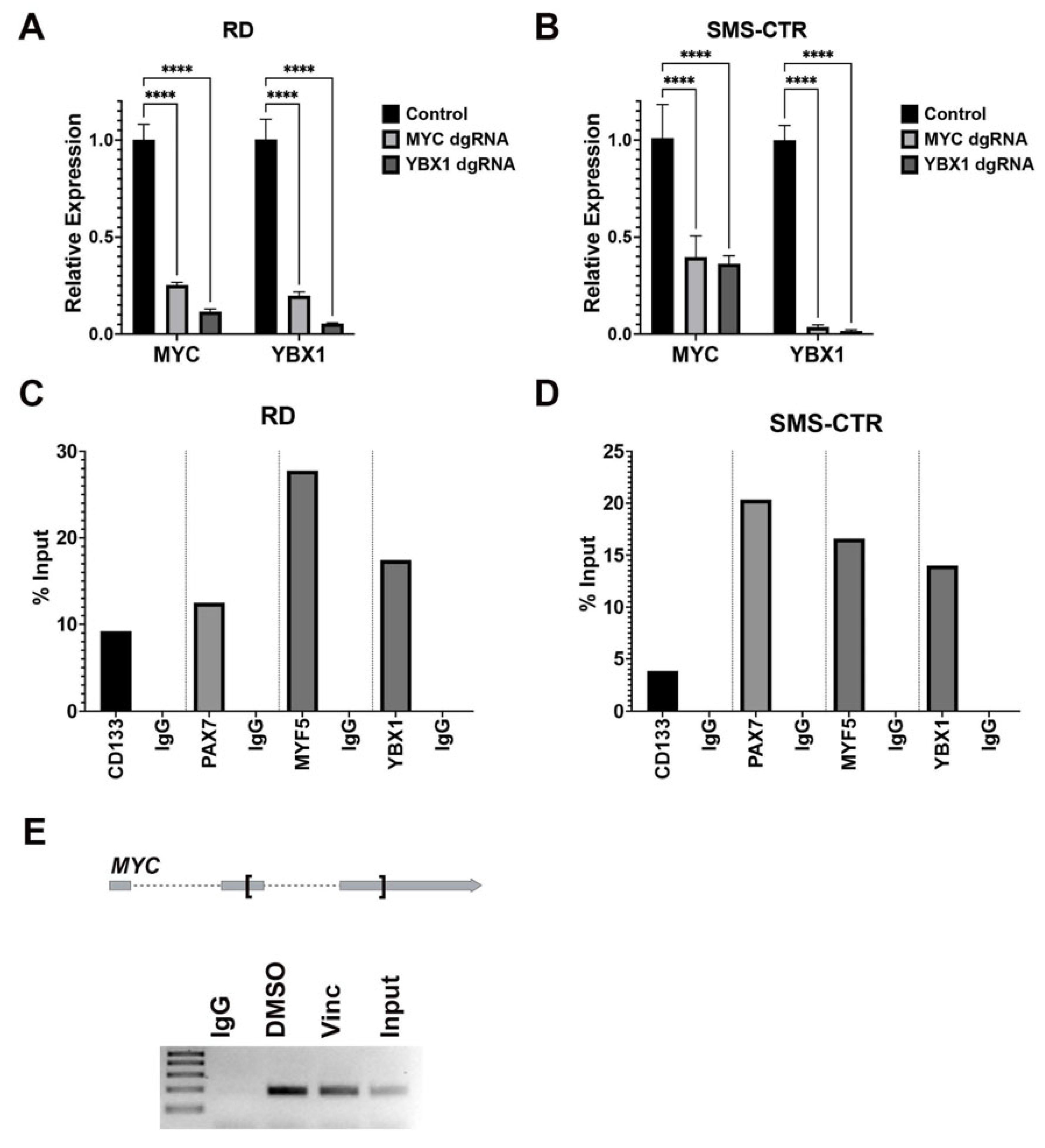 Cancers 15 02788 g005
