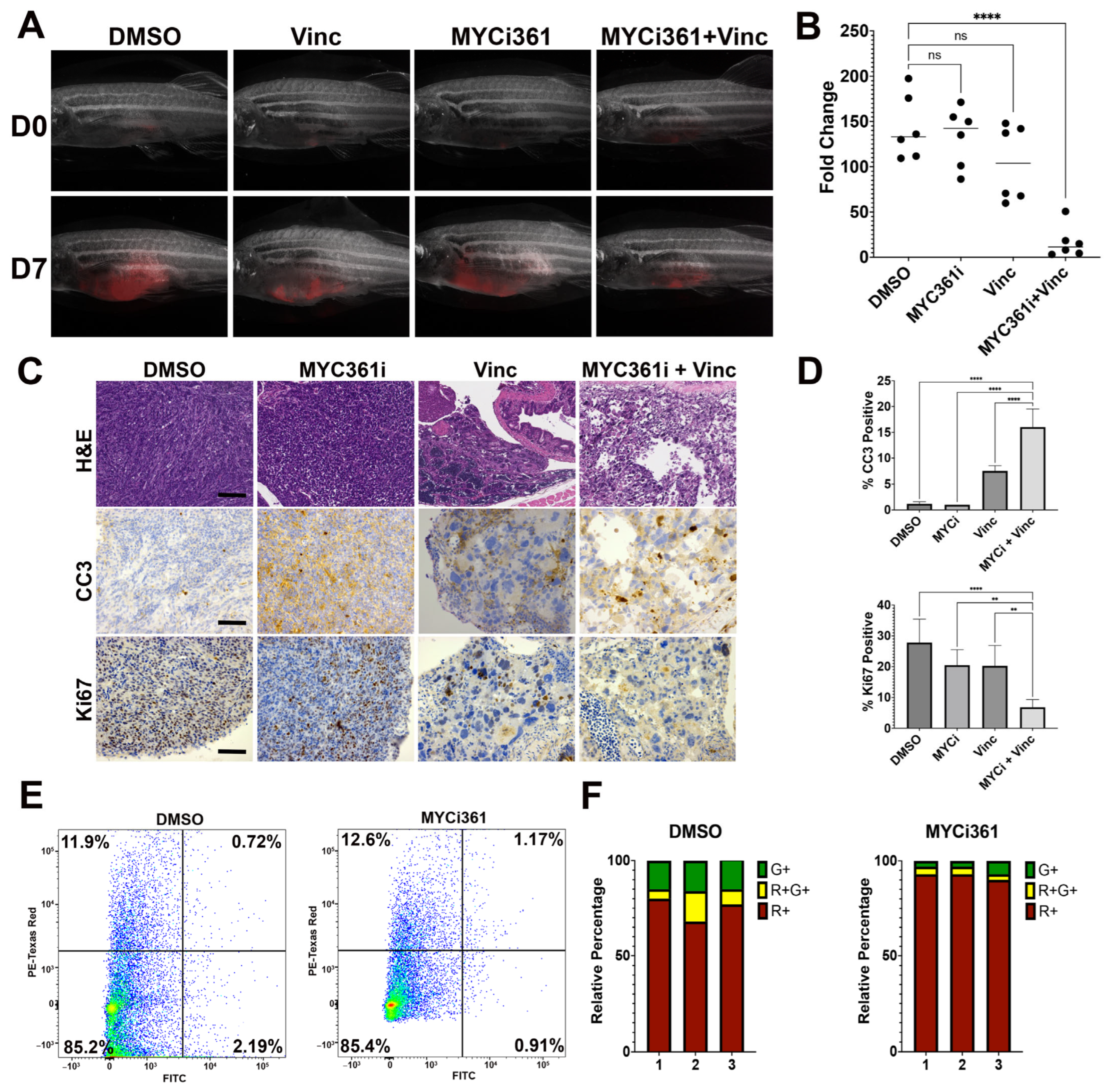 Cancers 15 02788 g006