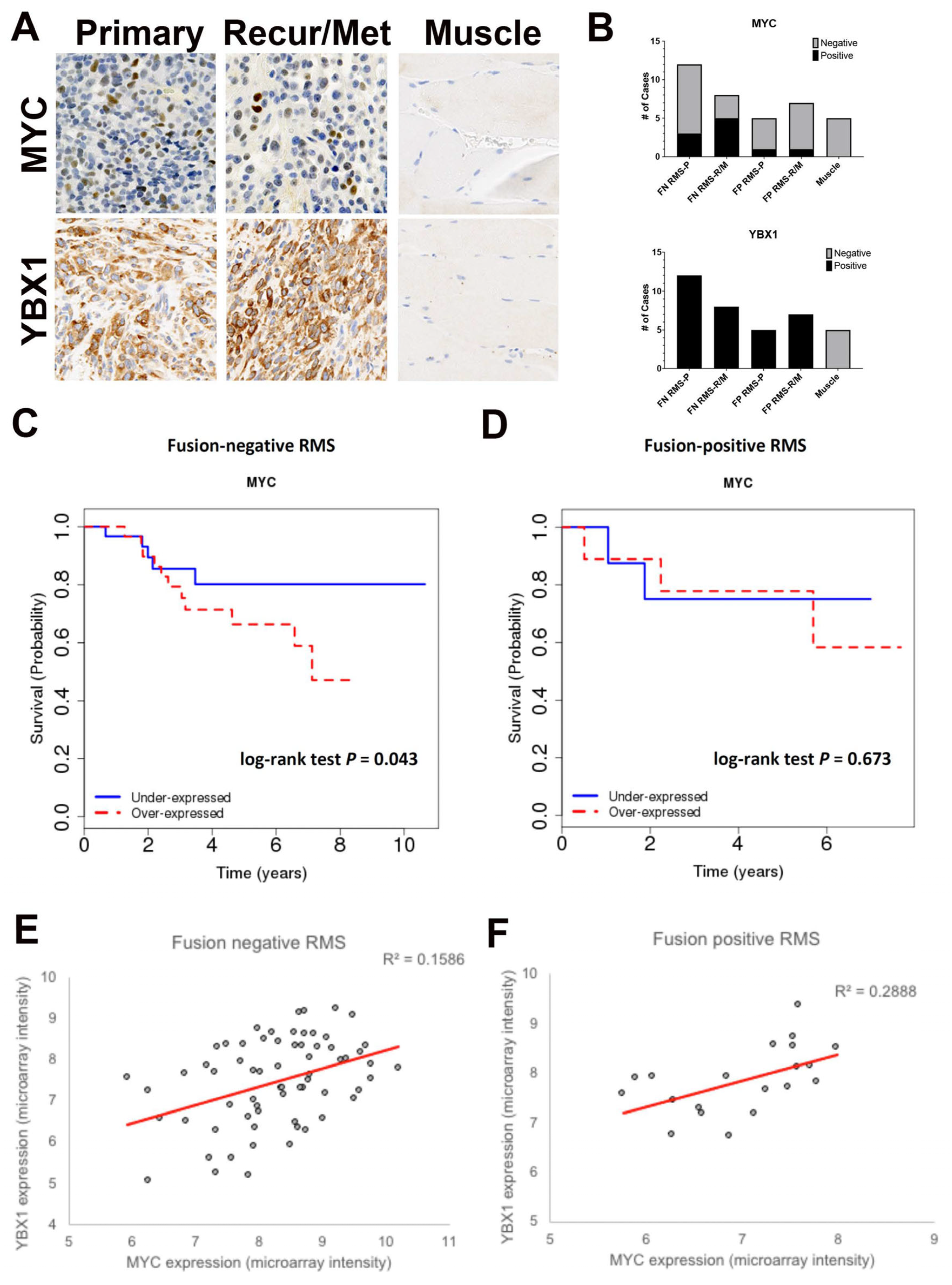 Cancers 15 02788 g007