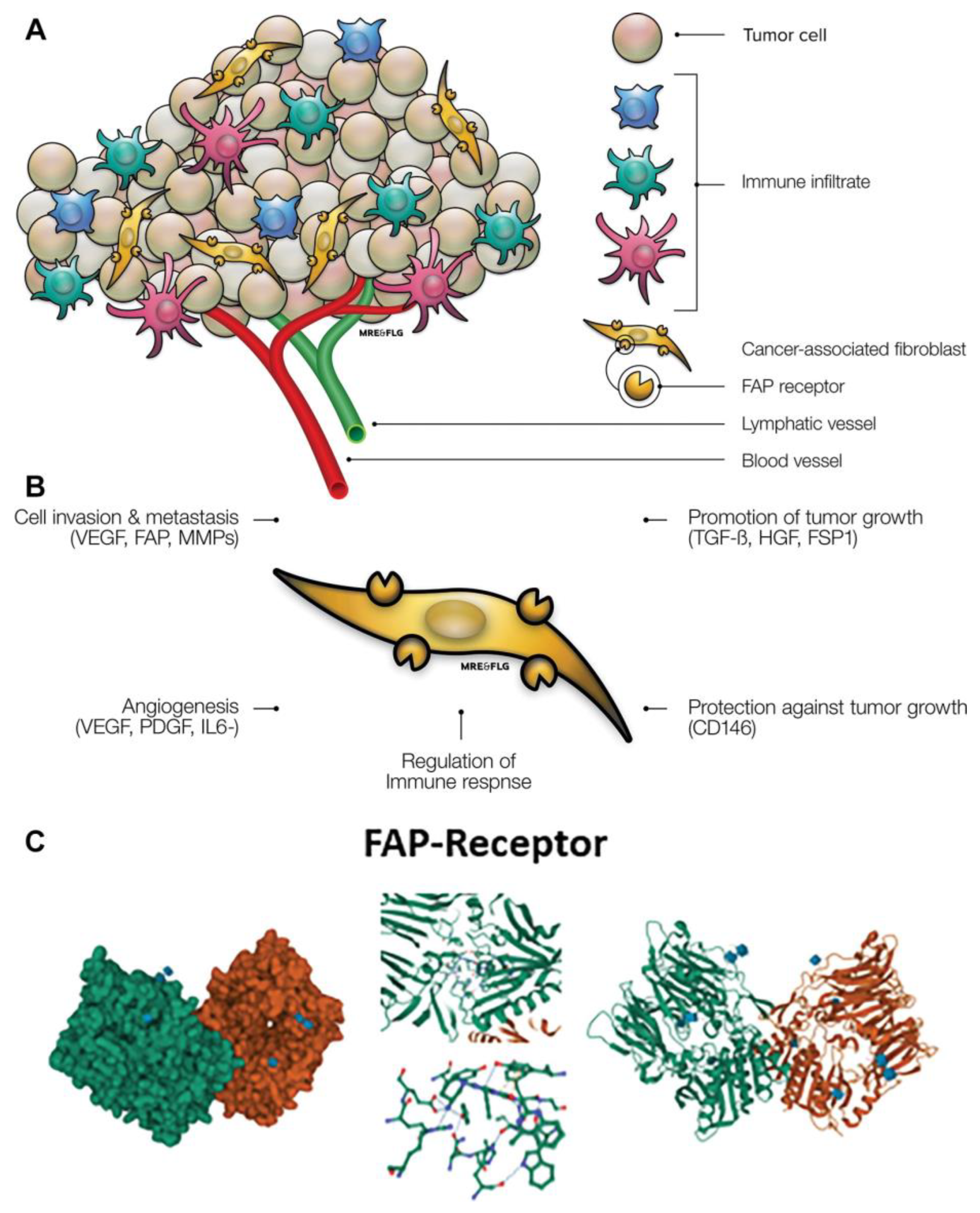 Cancers 15 02798 g001