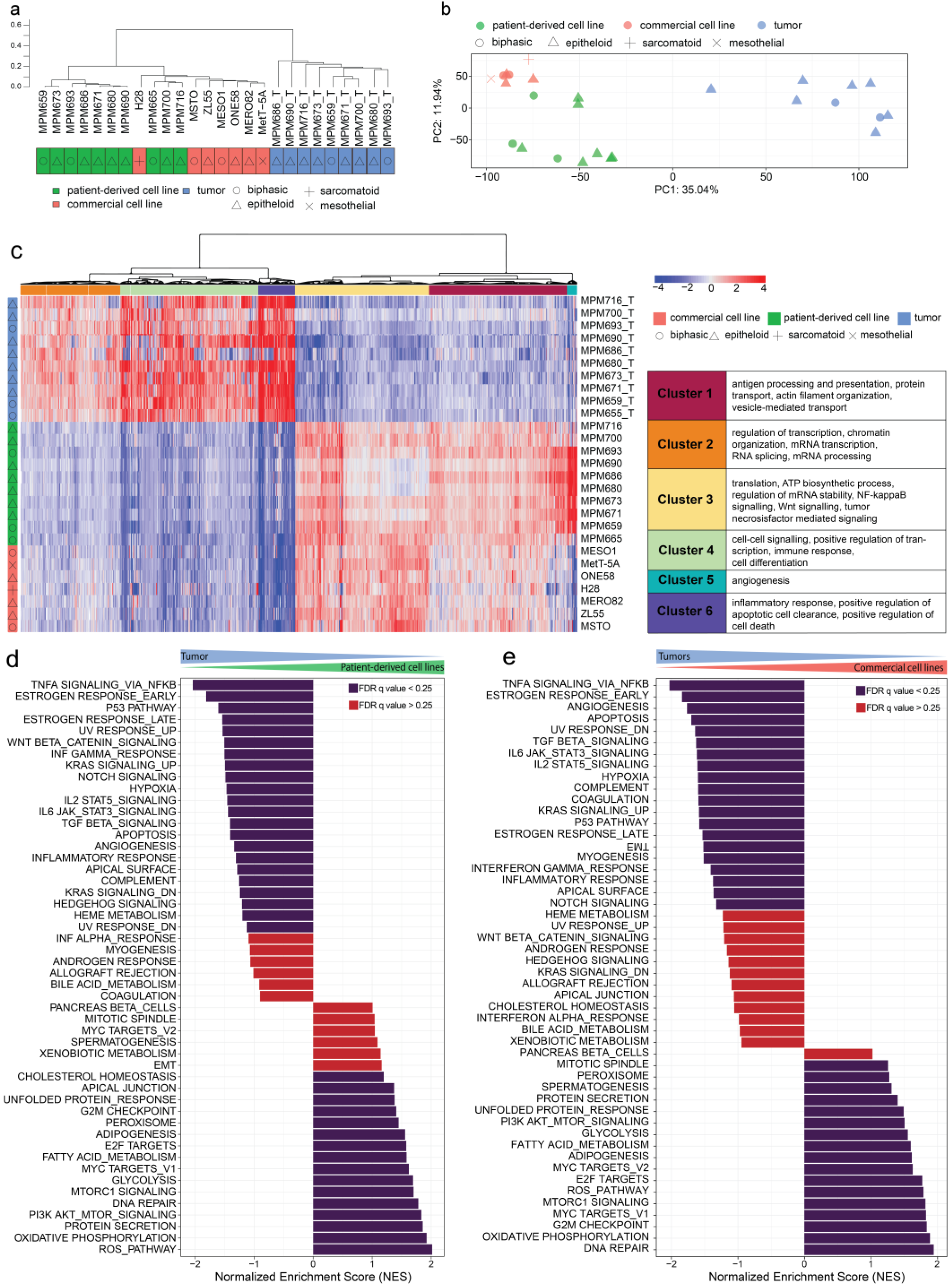 Cancers 15 02813 g003 Cancers 15 02813 g003