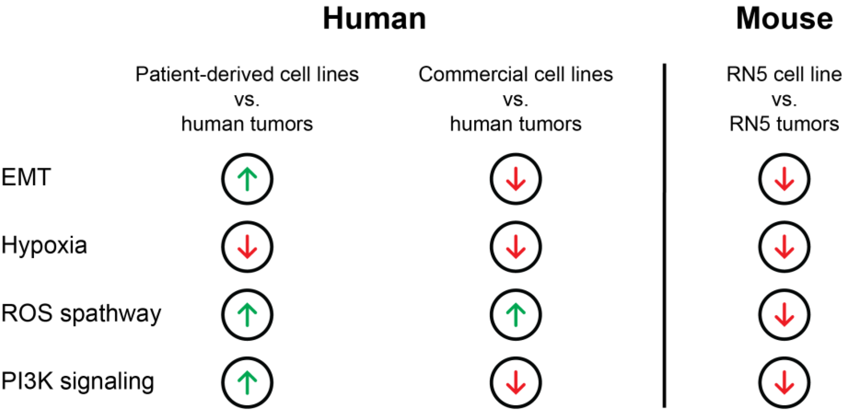 Cancers 15 02813 g006 Cancers 15 02813 g006