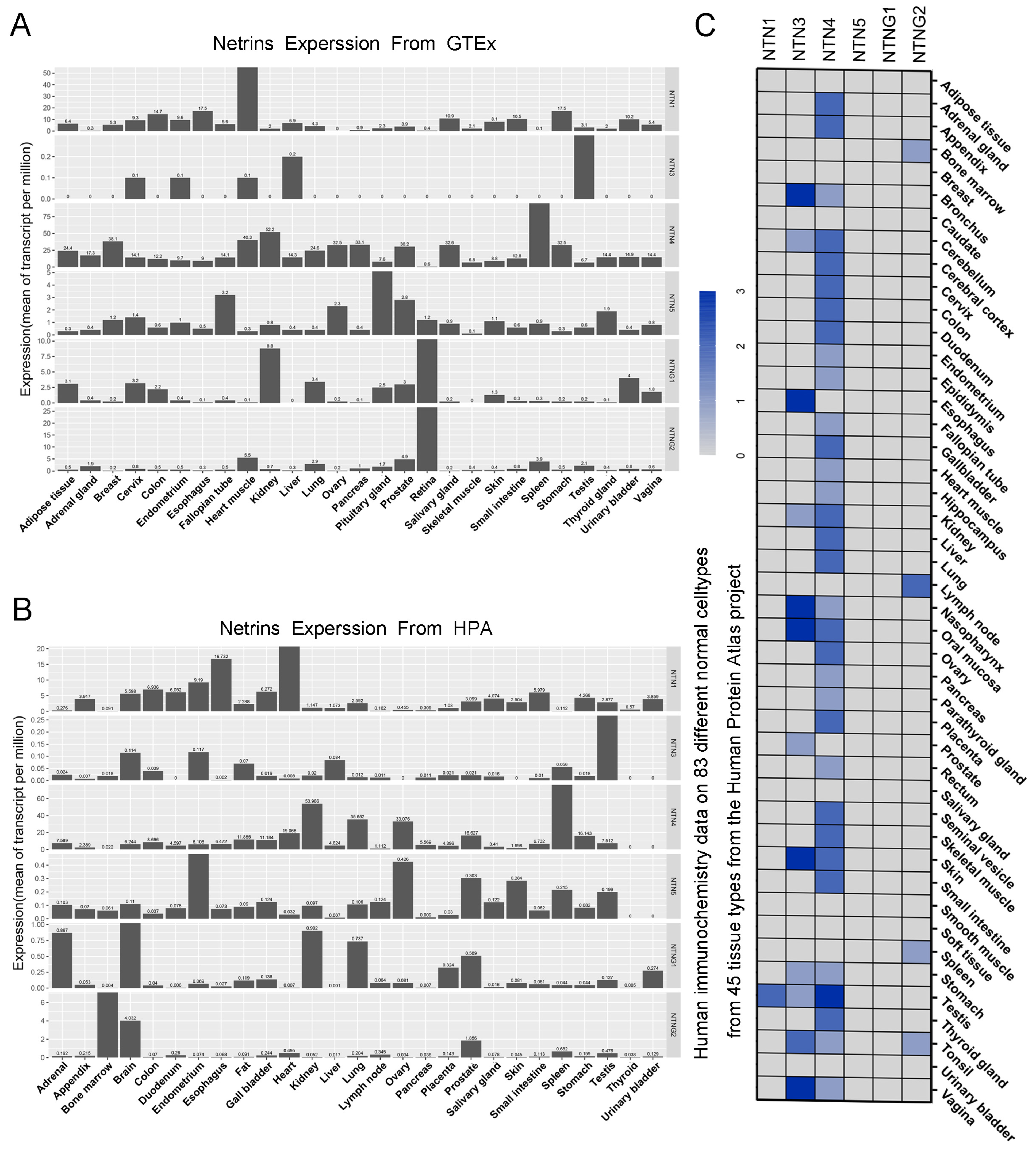 Cancers 15 02816 g001