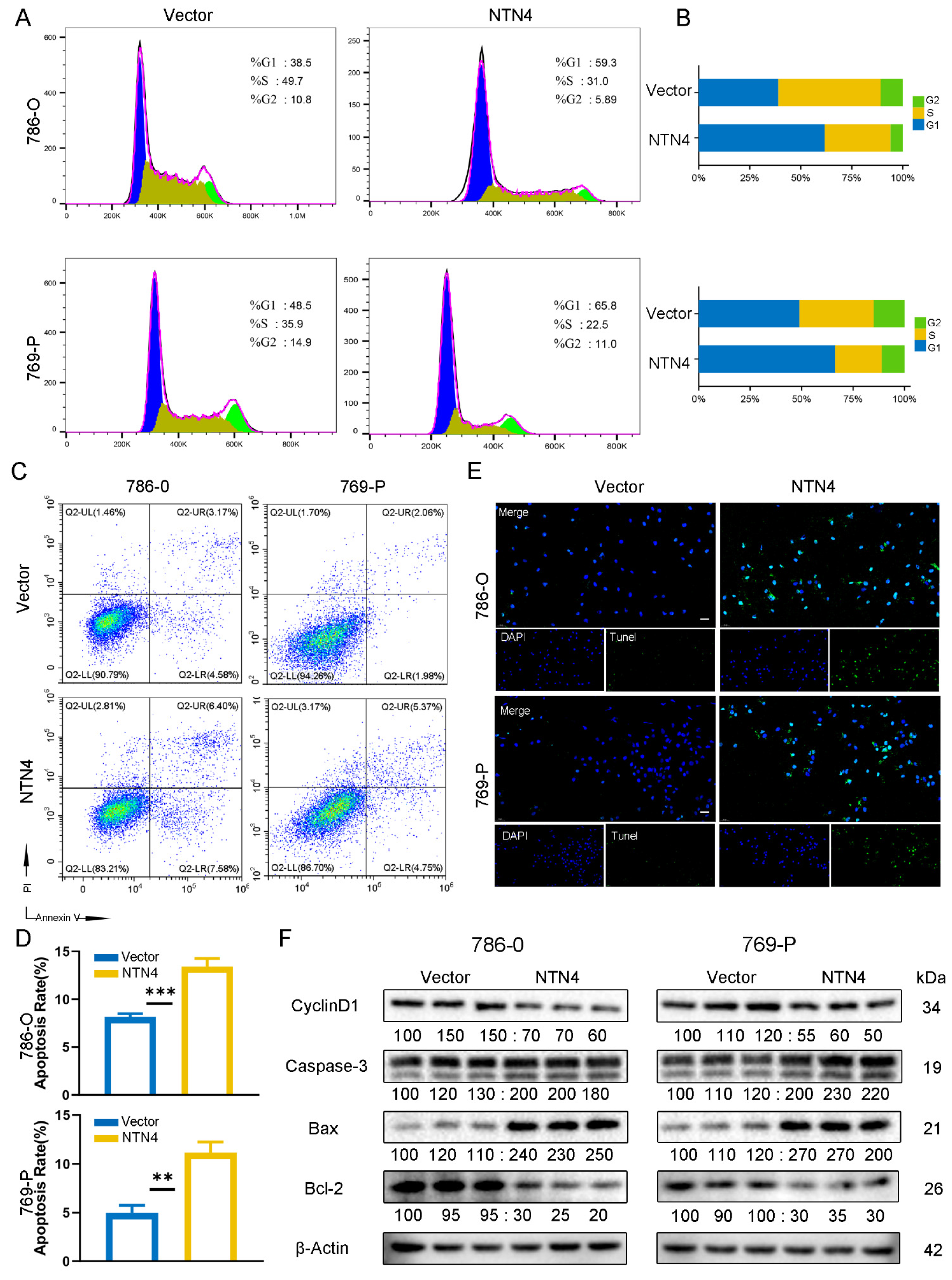 Cancers 15 02816 g007