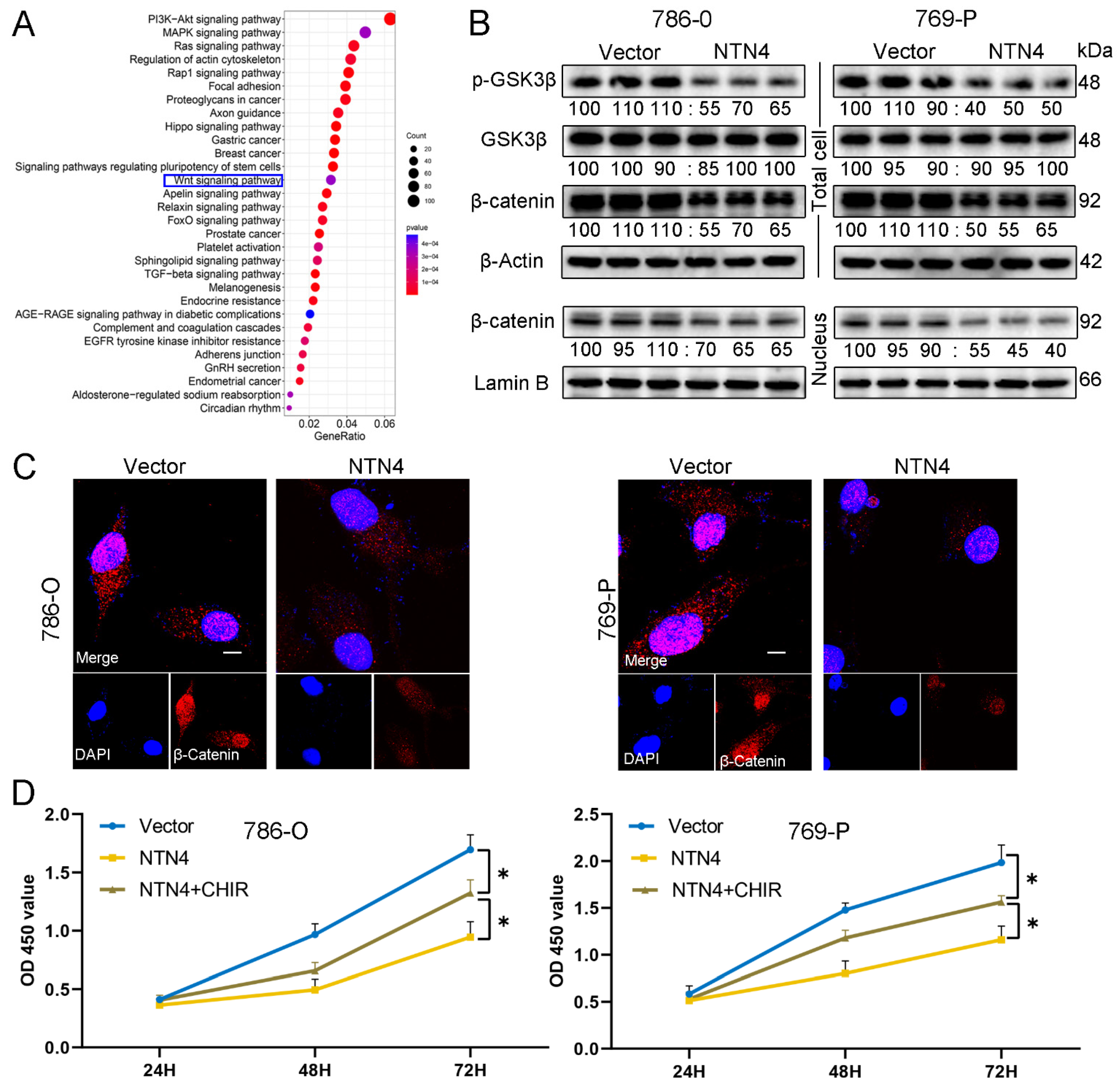 Cancers 15 02816 g008