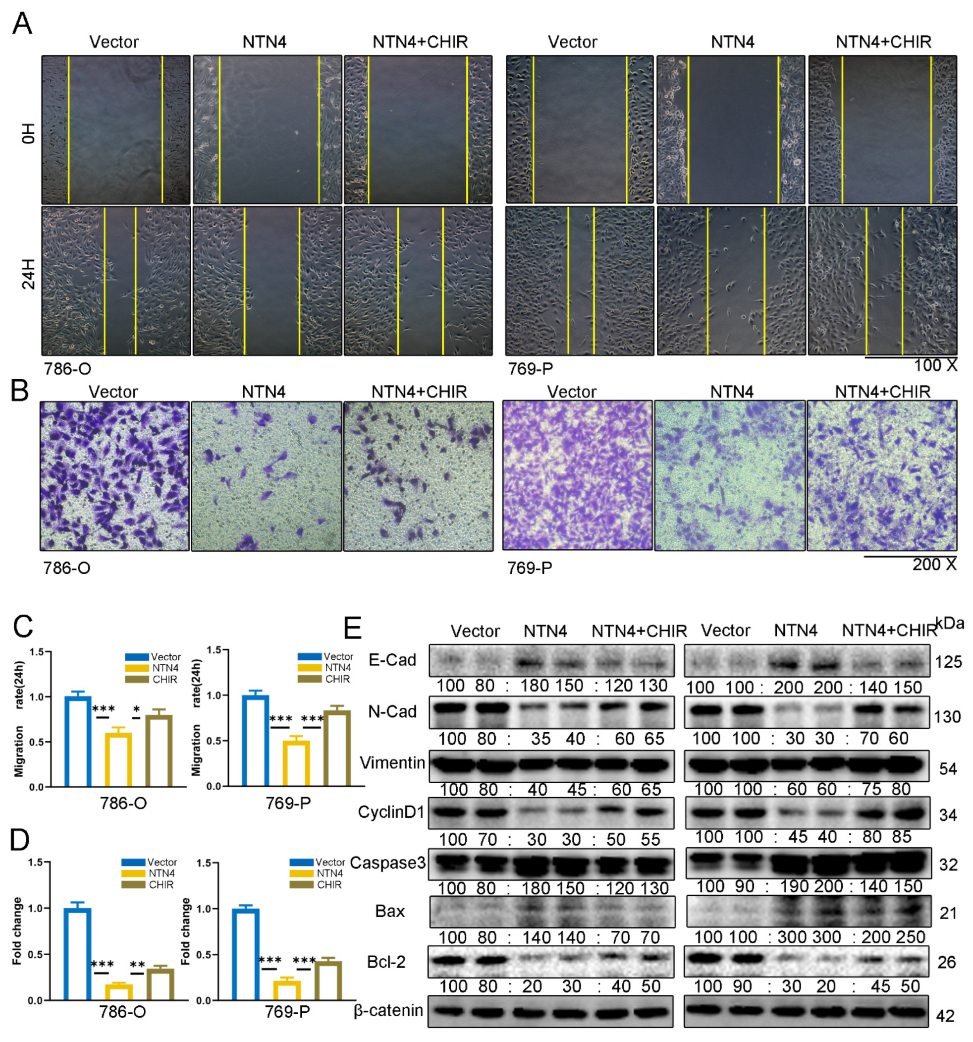 Cancers 15 02816 g009