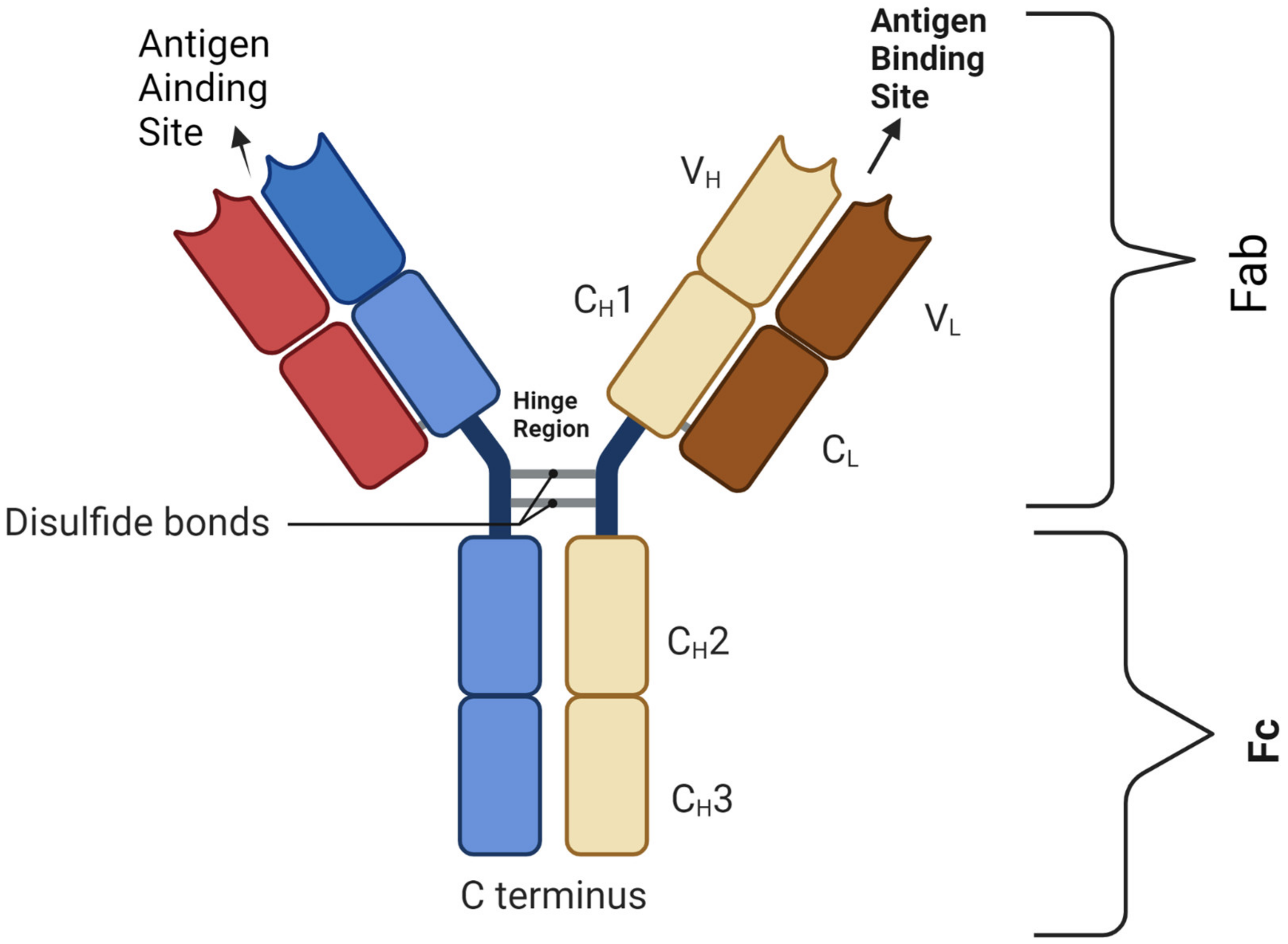 Cancers 15 02824 g001