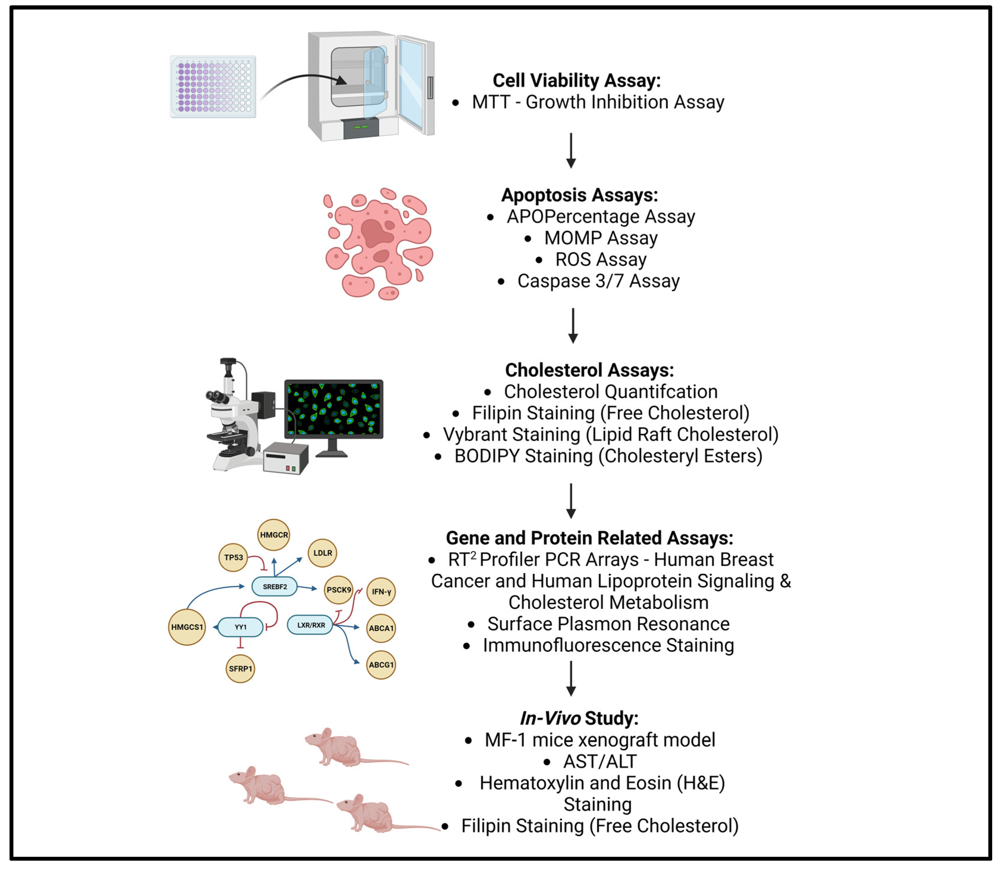 Cancers 15 02828 g001