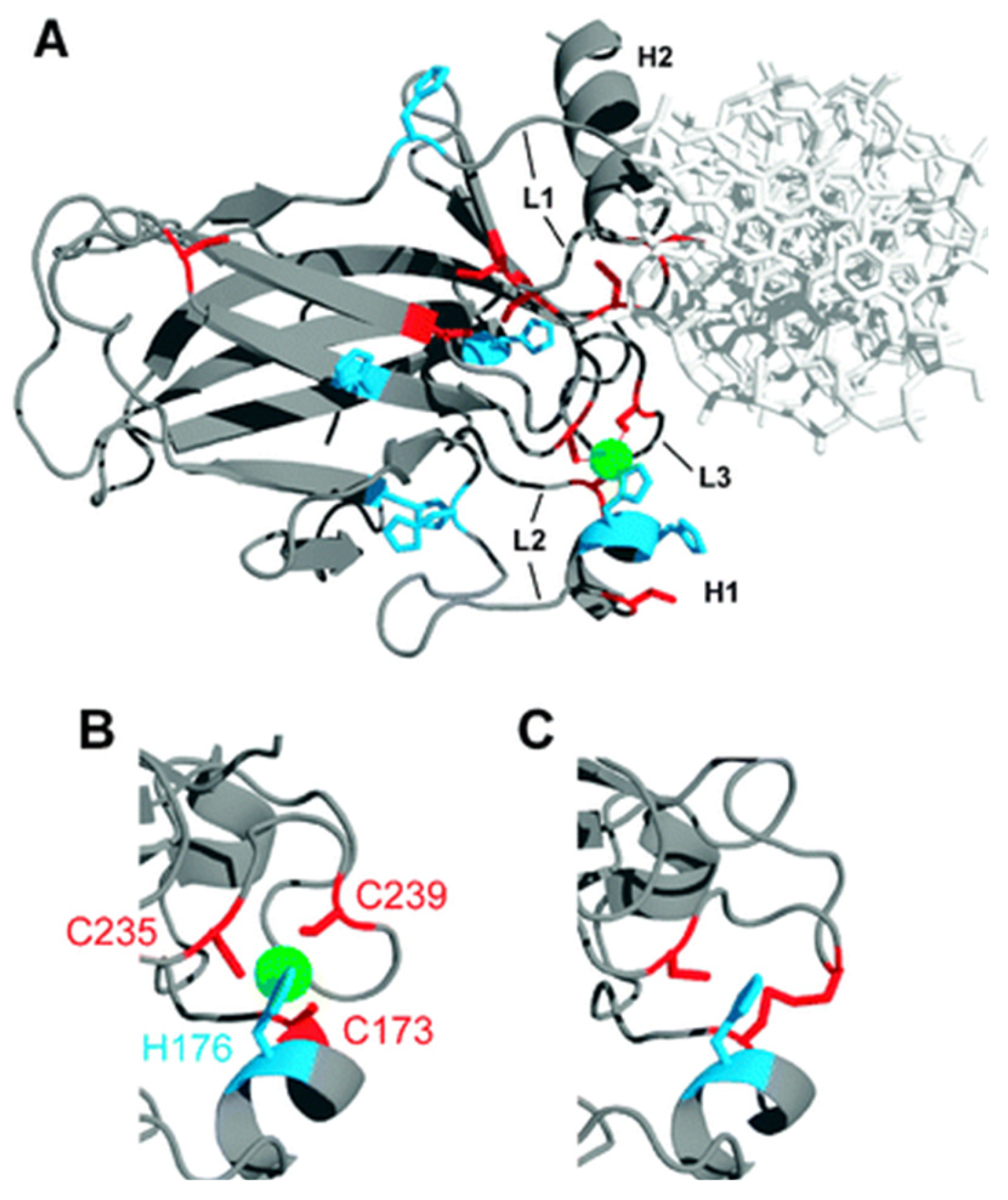 Cancers 15 02834 g001