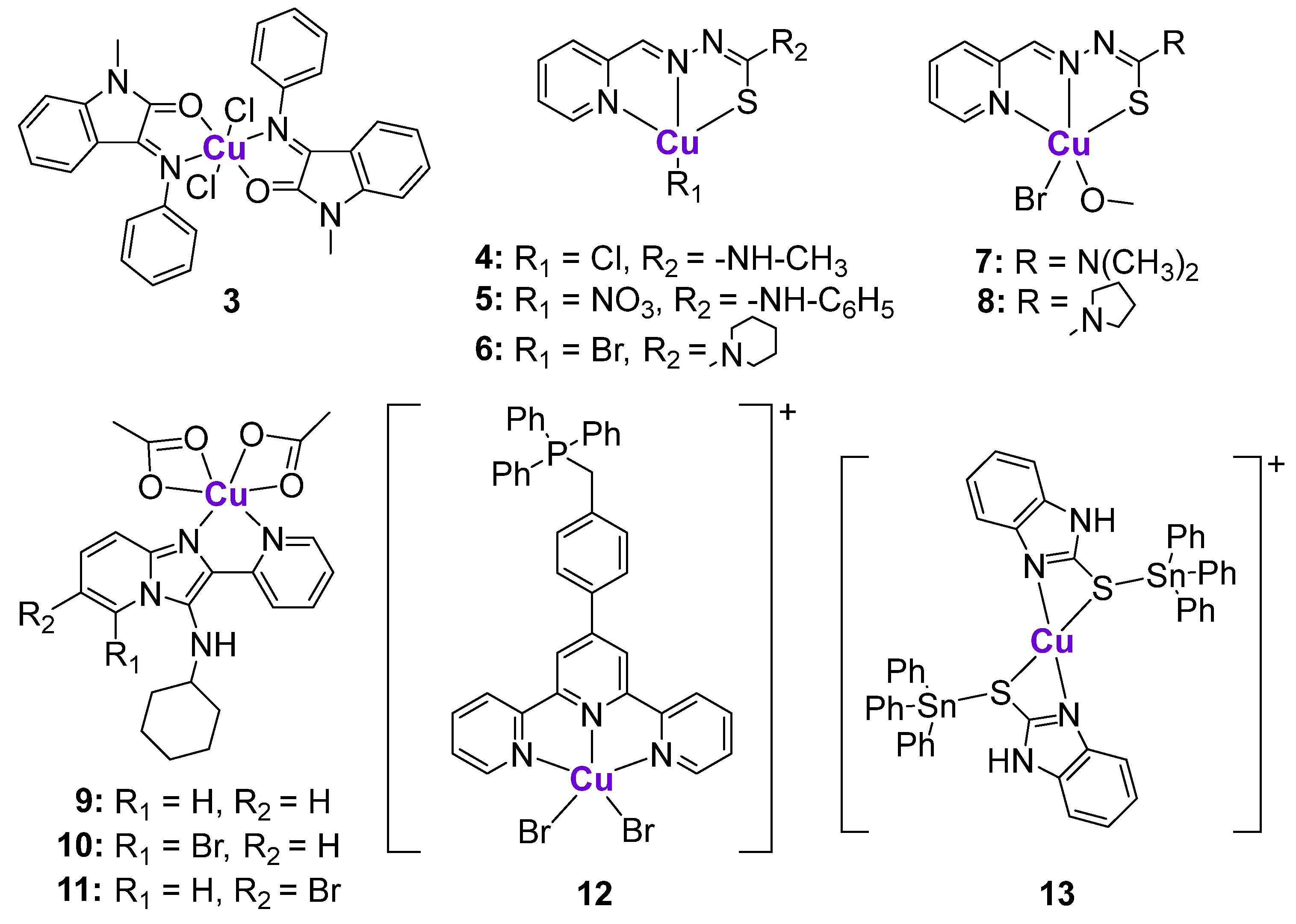 Cancers 15 02834 g003