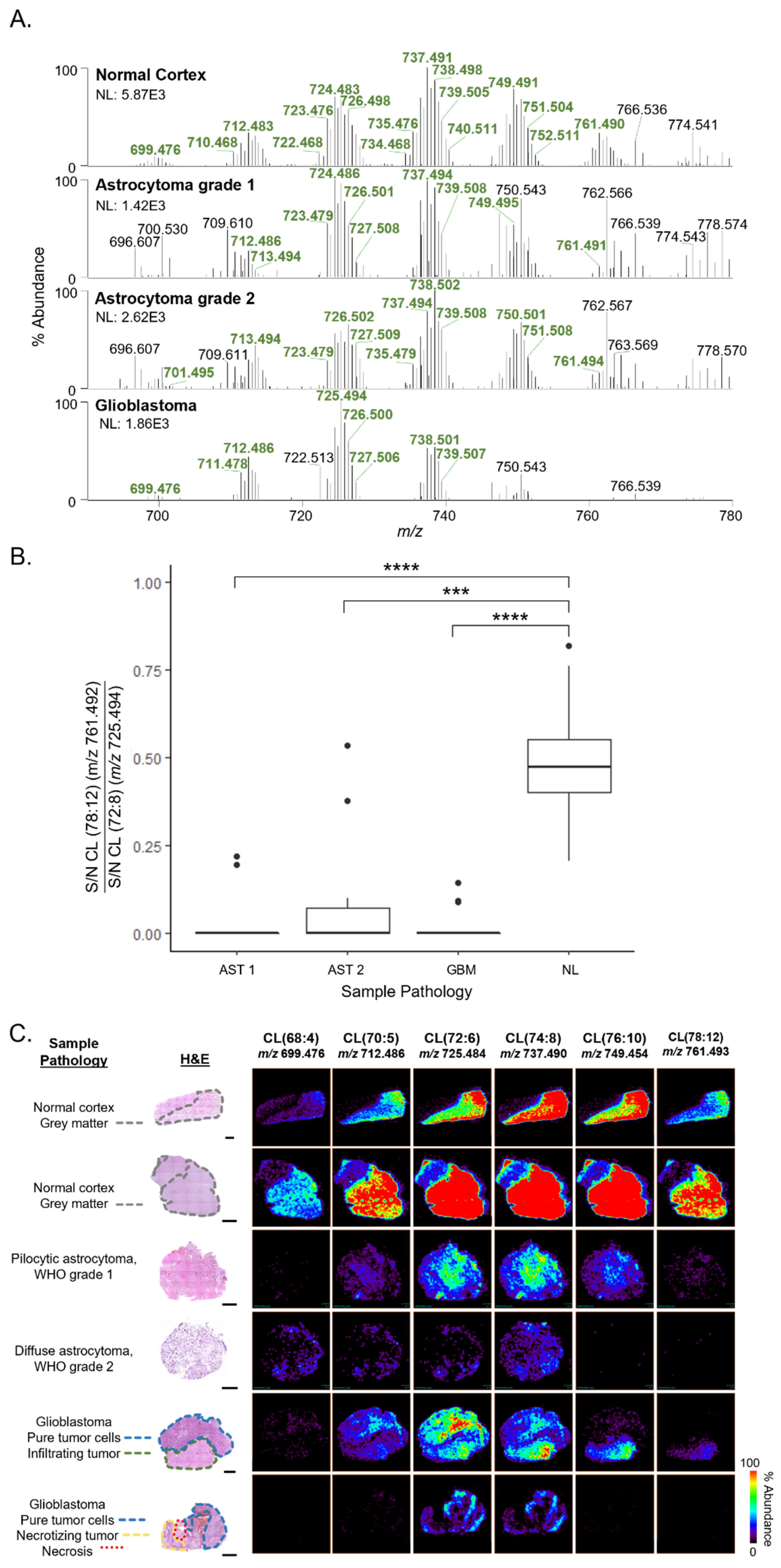 Cancers 15 02842 g001