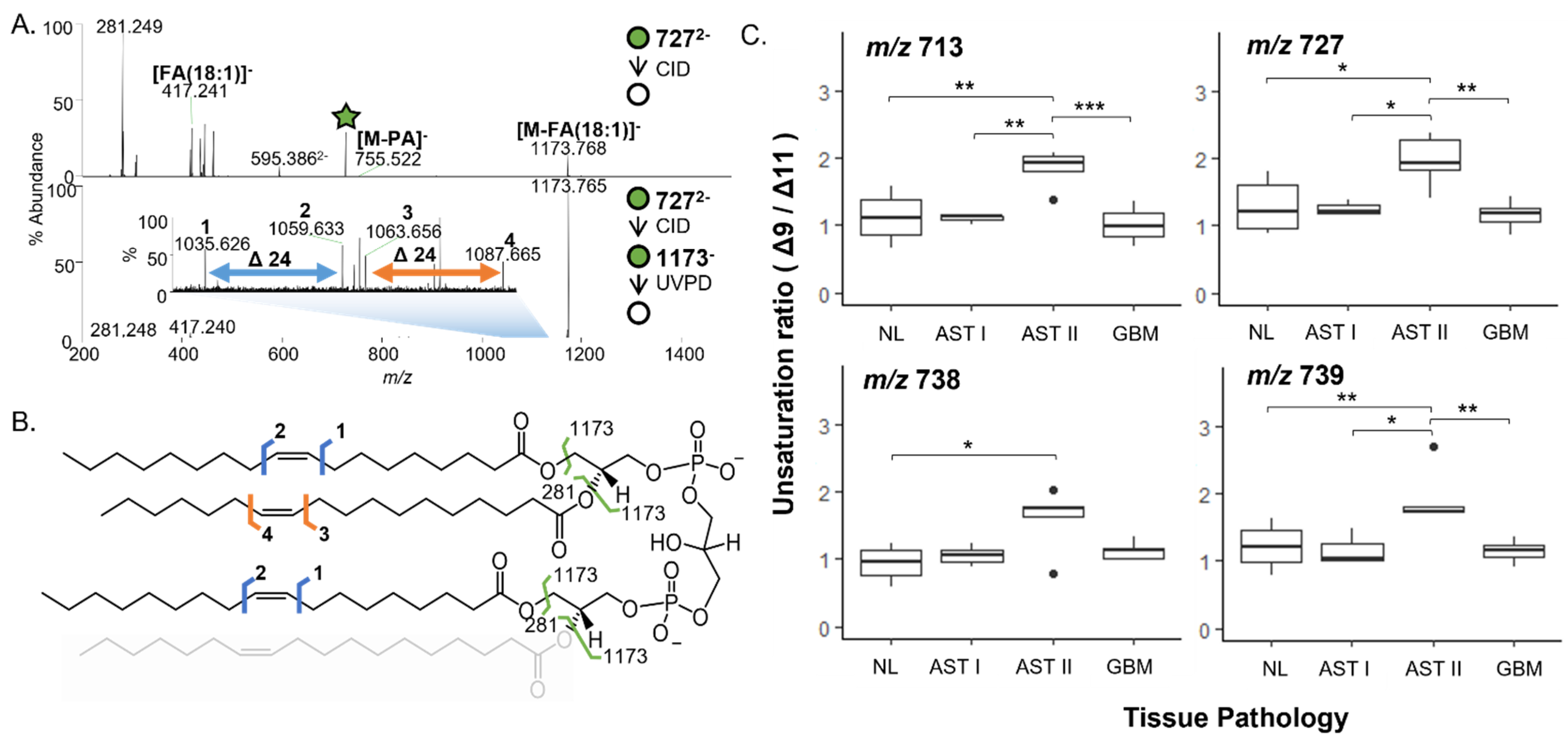 Cancers 15 02842 g003
