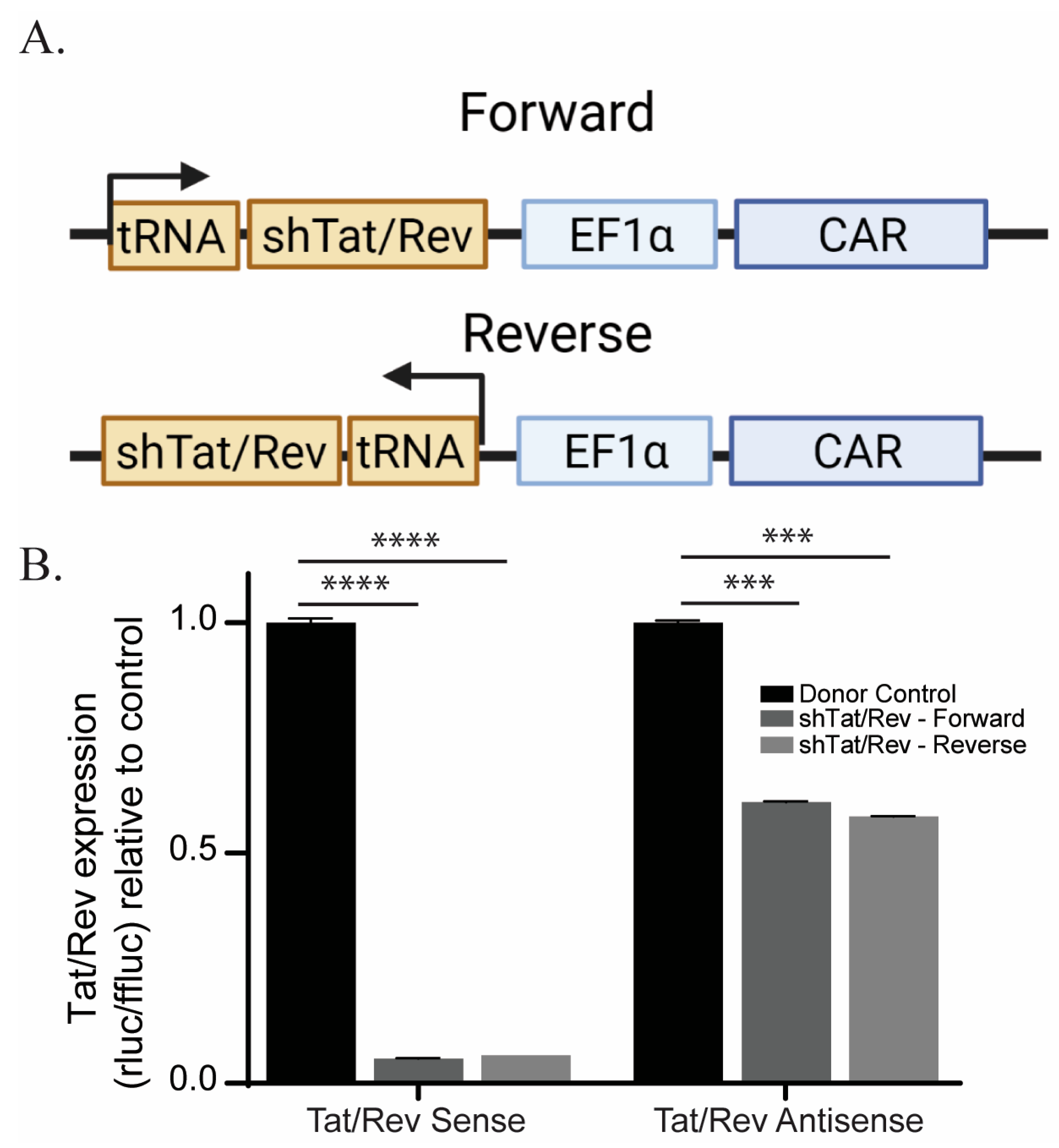Cancers 15 02848 g001