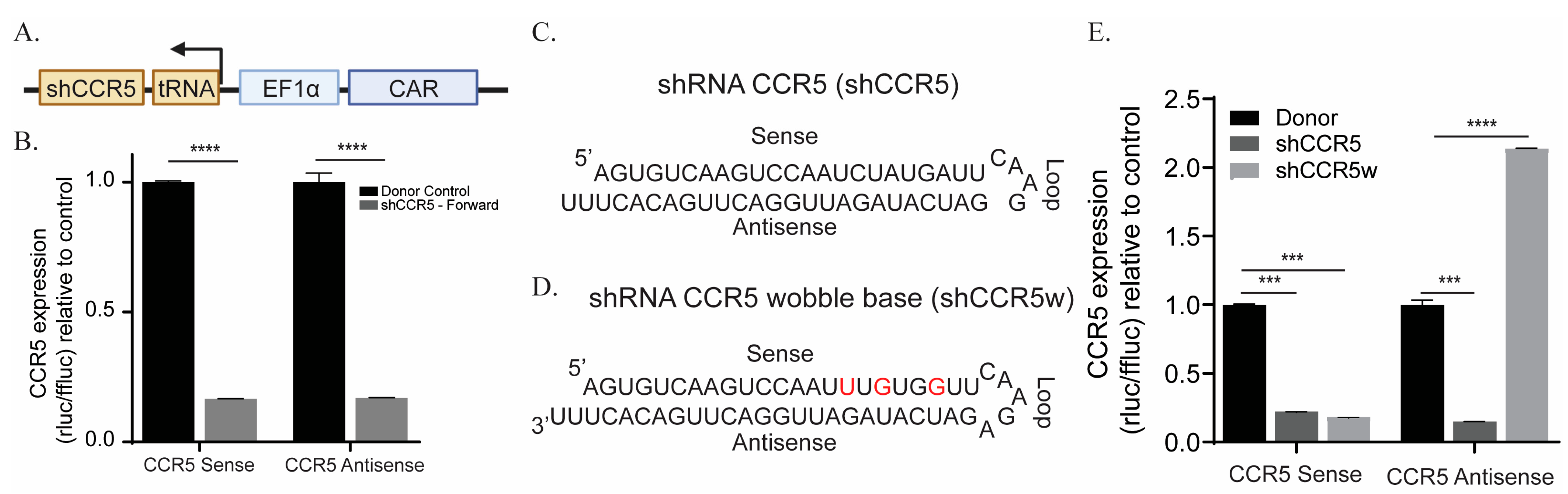 Cancers 15 02848 g002