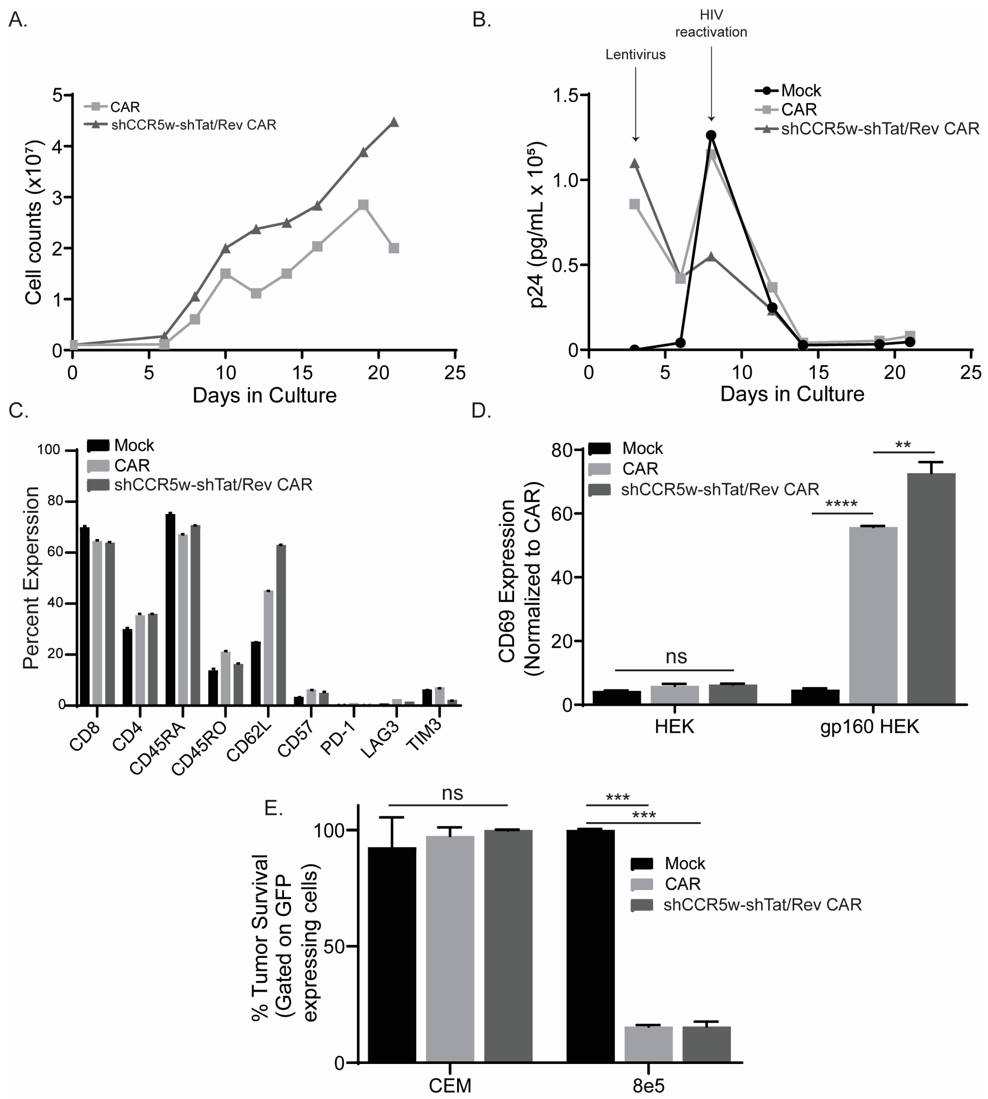 Cancers 15 02848 g004