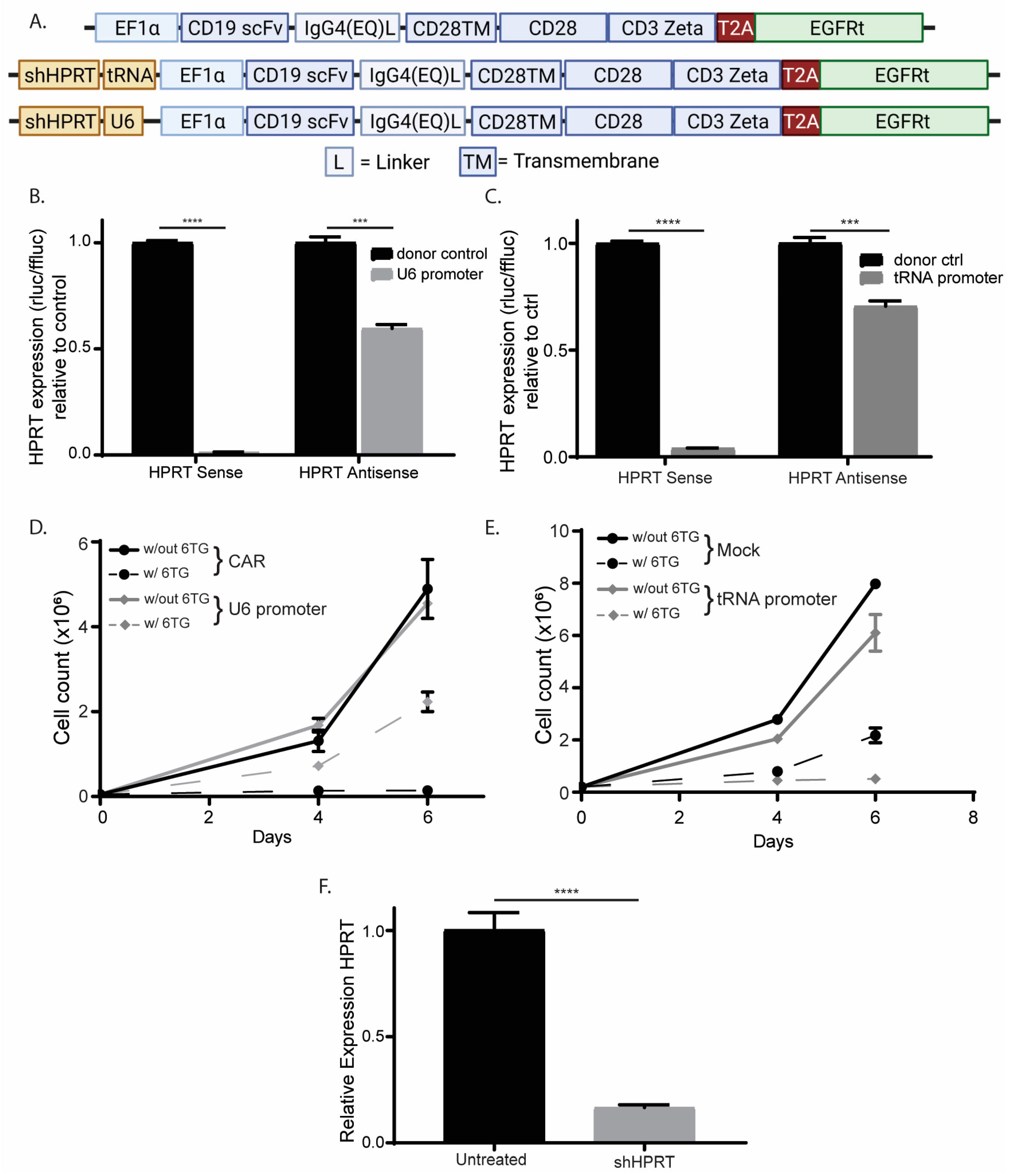 Cancers 15 02848 g005