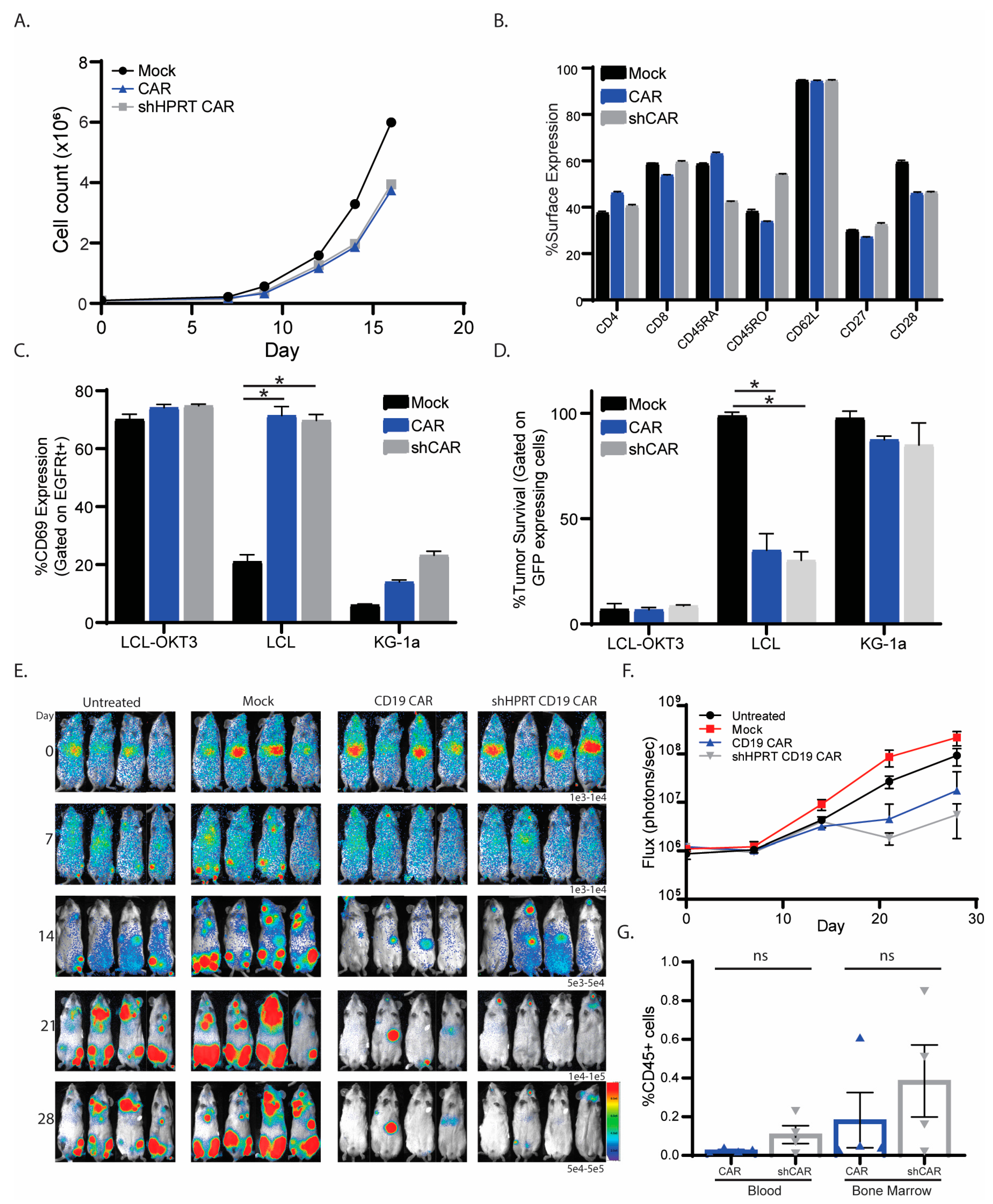 Cancers 15 02848 g006