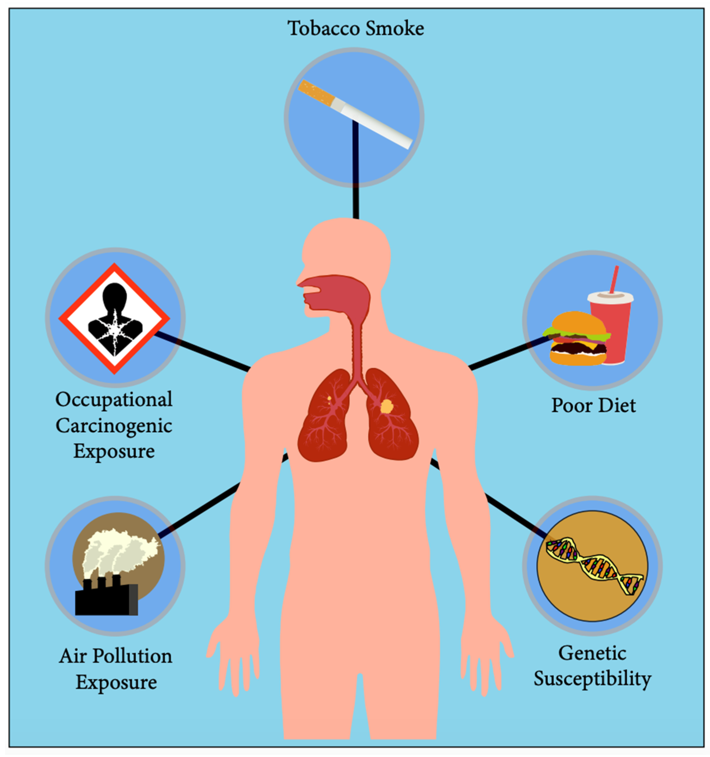 Cancers 15 02855 g001