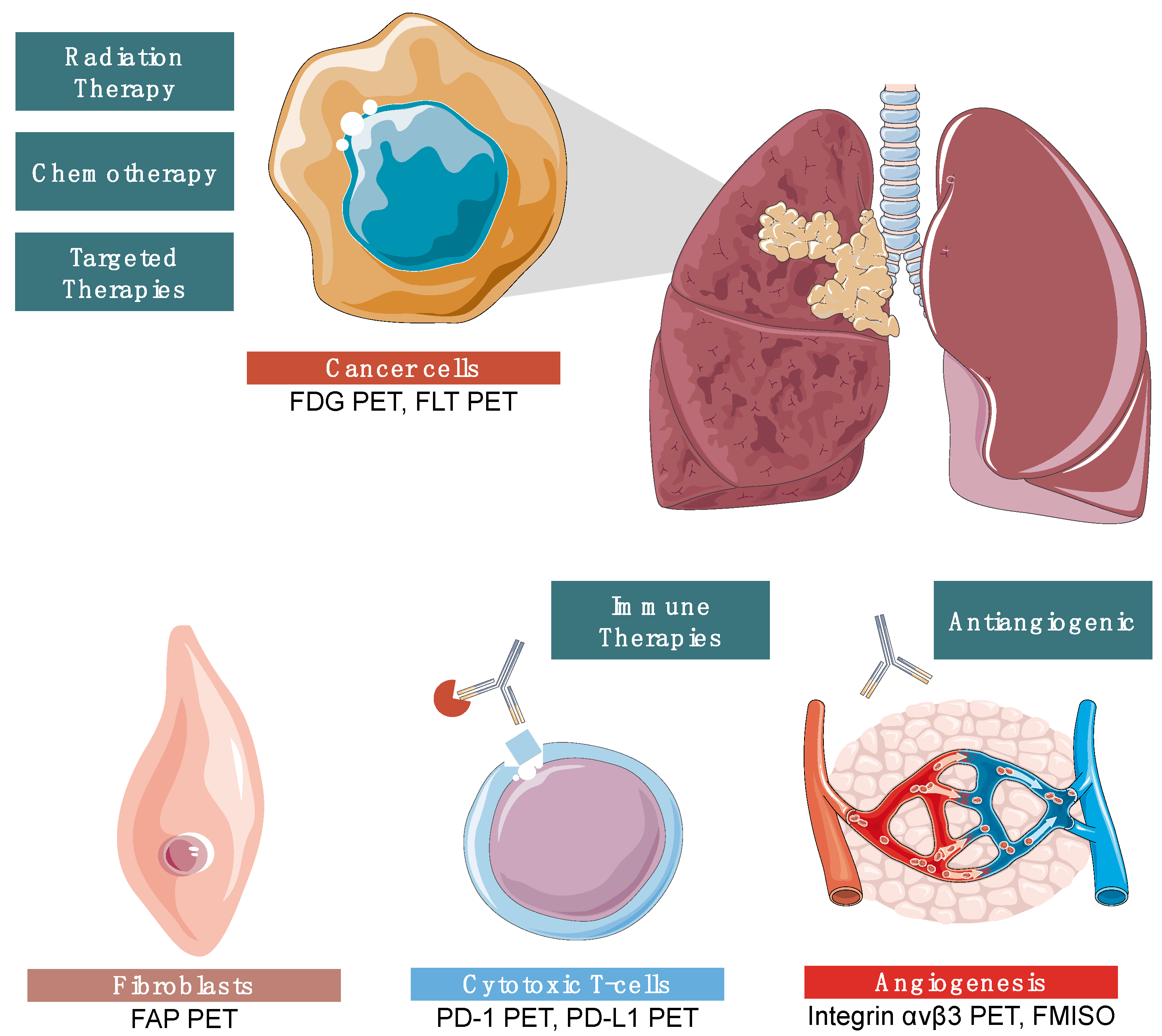 Cancers 15 02855 g006
