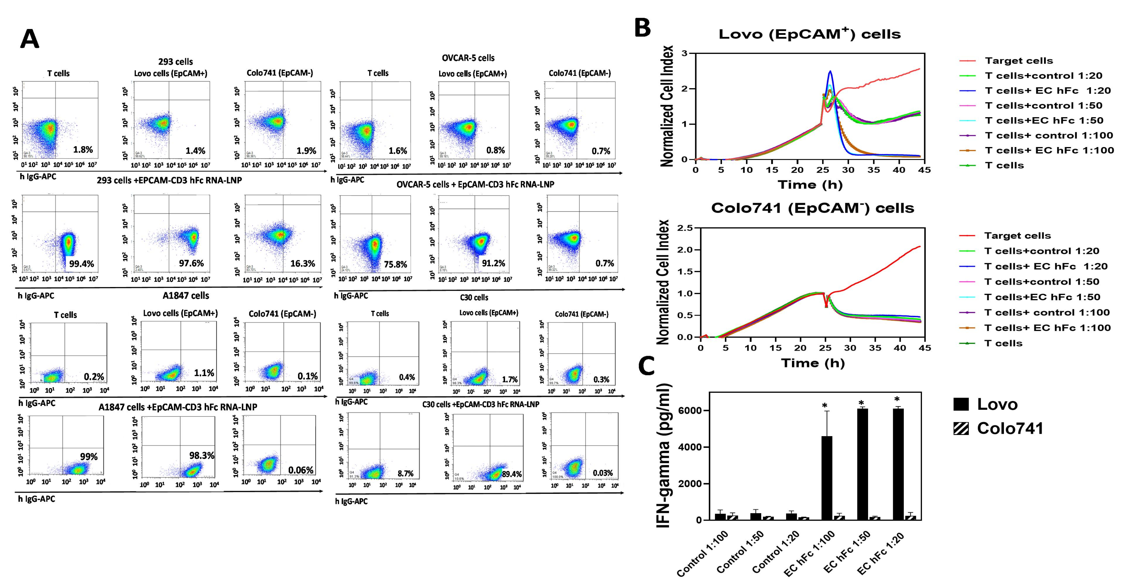 Cancers 15 02860 g005